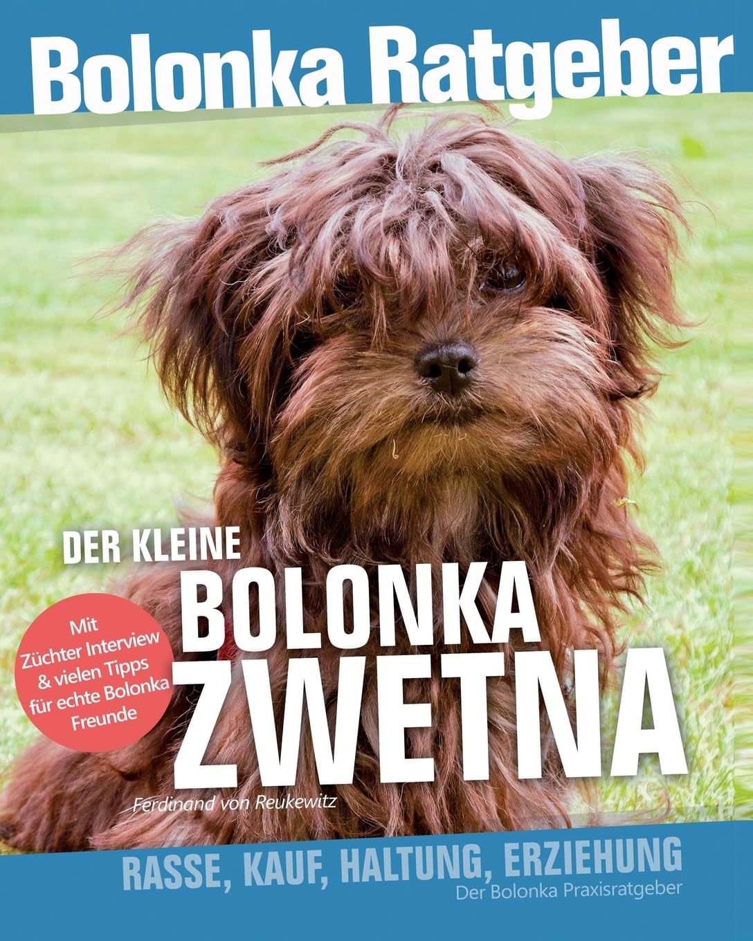 Der kleine Bolonka Zwetna Ratgeber Mathematics