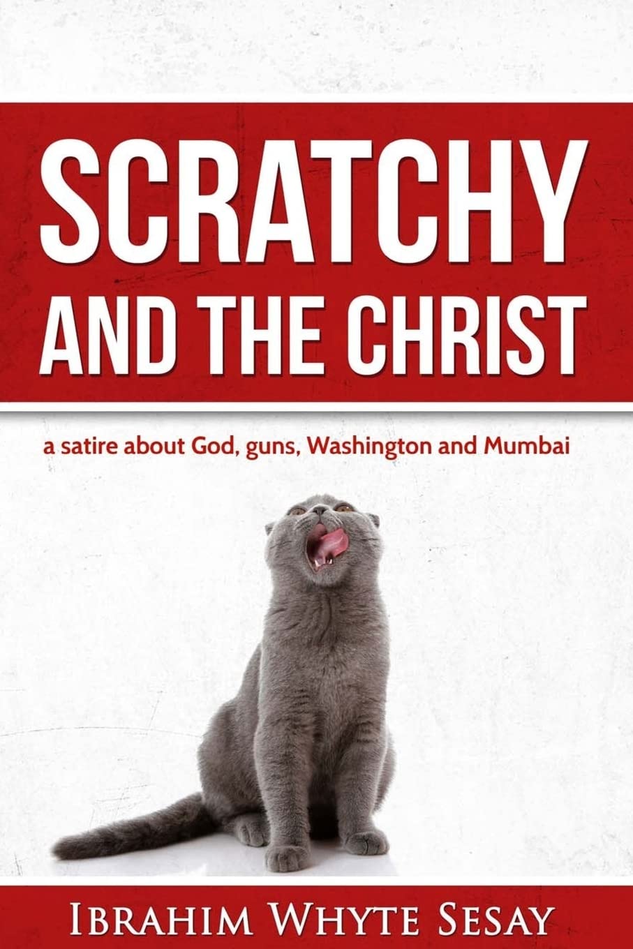 Scratchy and the Christ: A satire about God, guns, Washington and Mumbai Contemporary literature