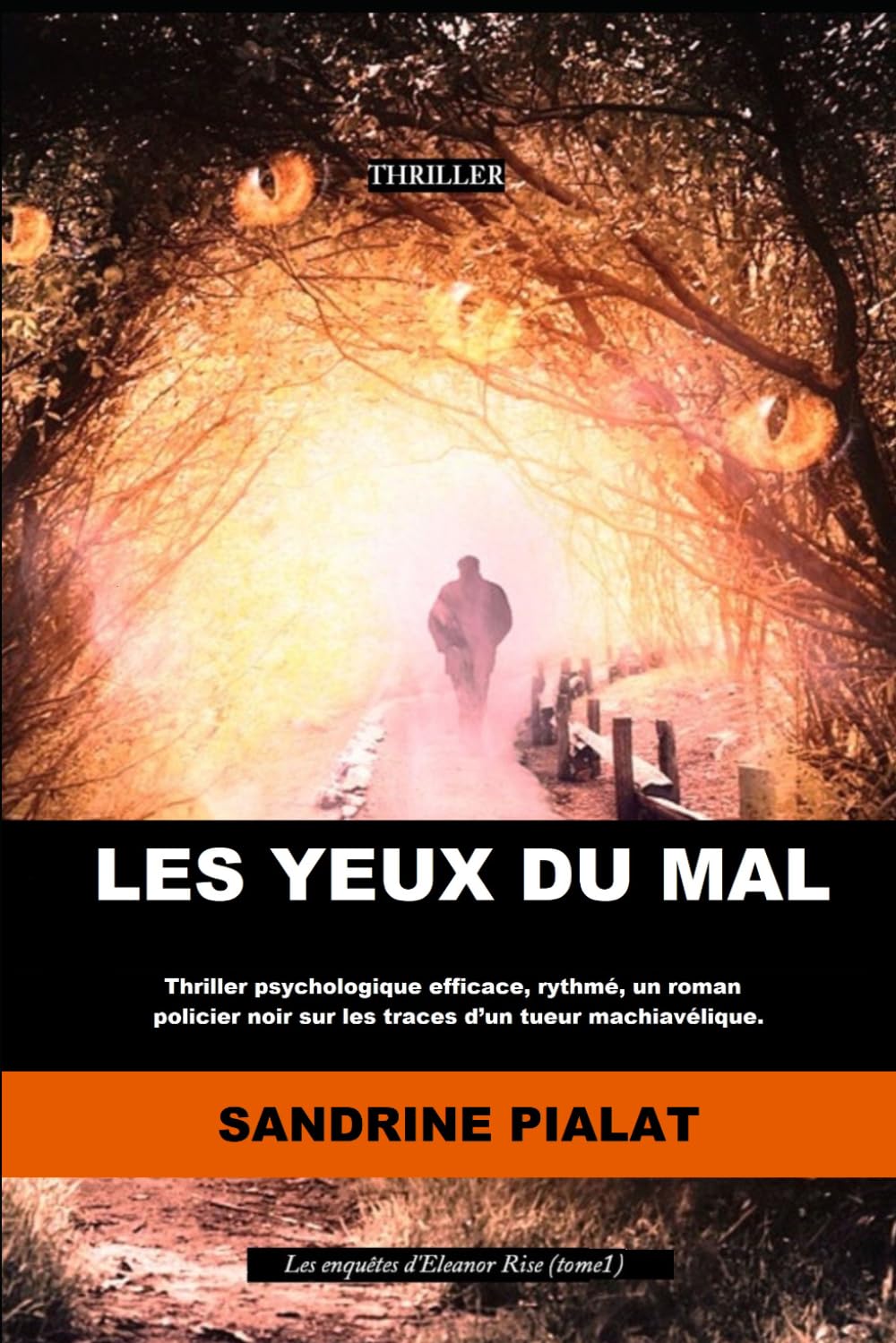 Les yeux du Mal (Les enquêtes d'Eleanor Rise, Band 1) Action & Adventure