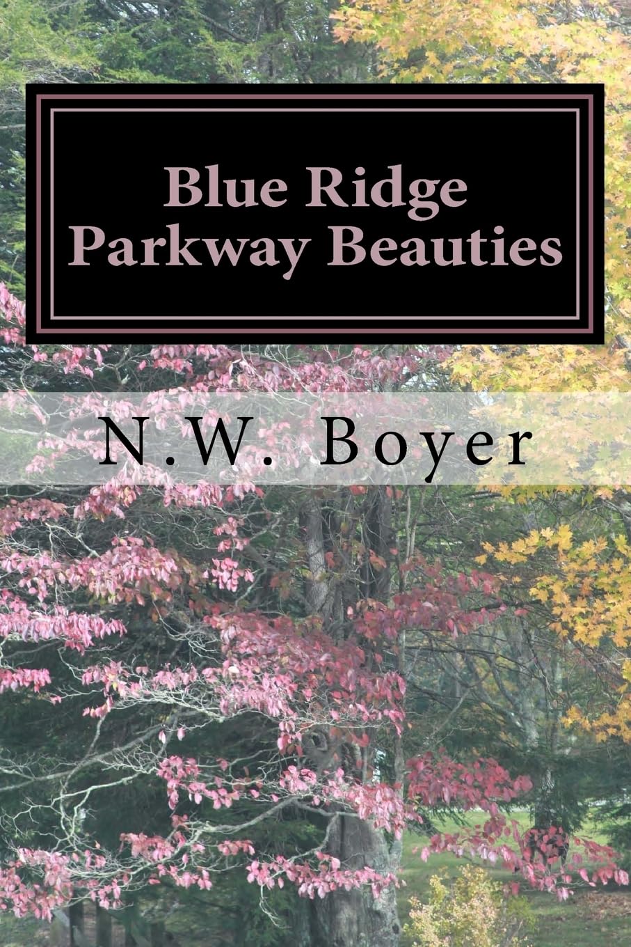 Blue Ridge Parkway Beauties: 2nd Edition (Blue Ridge Mountain Series, Band 1) Travel