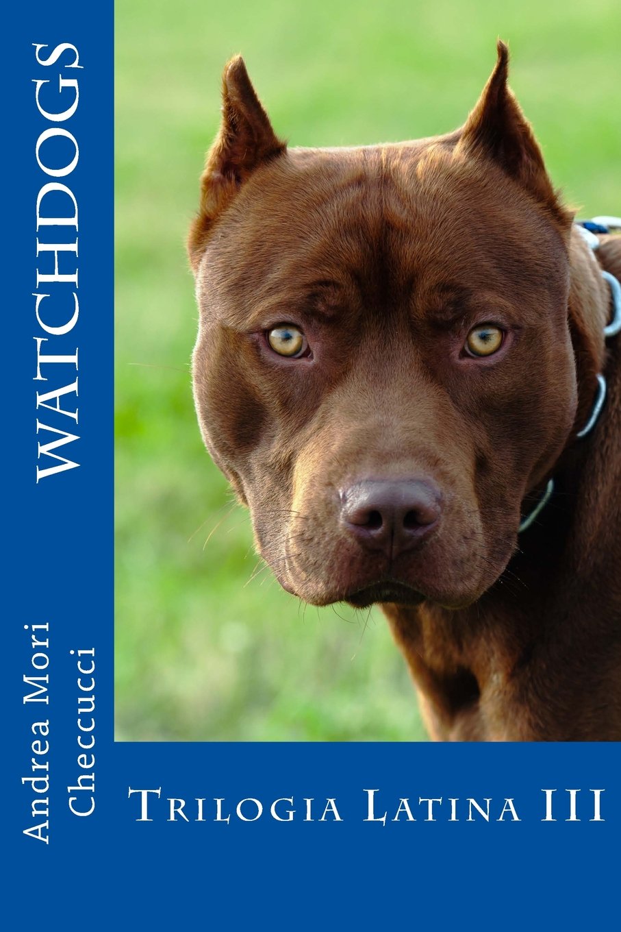 Watchdogs: Trilogia Latina III Detective & CSI