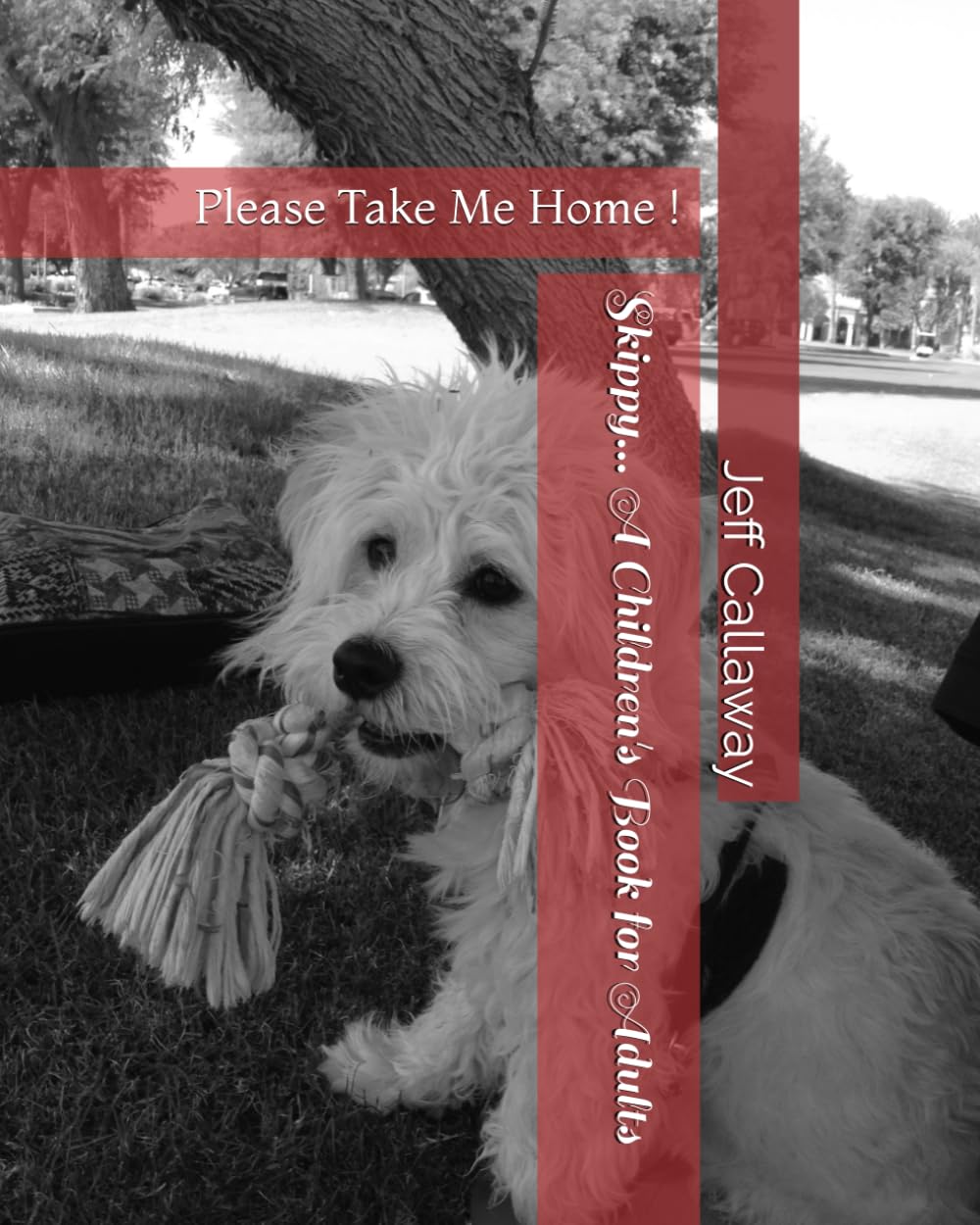 Skippy... A Children's Book for Adults: Please Take Me Home ! Contemporary literature