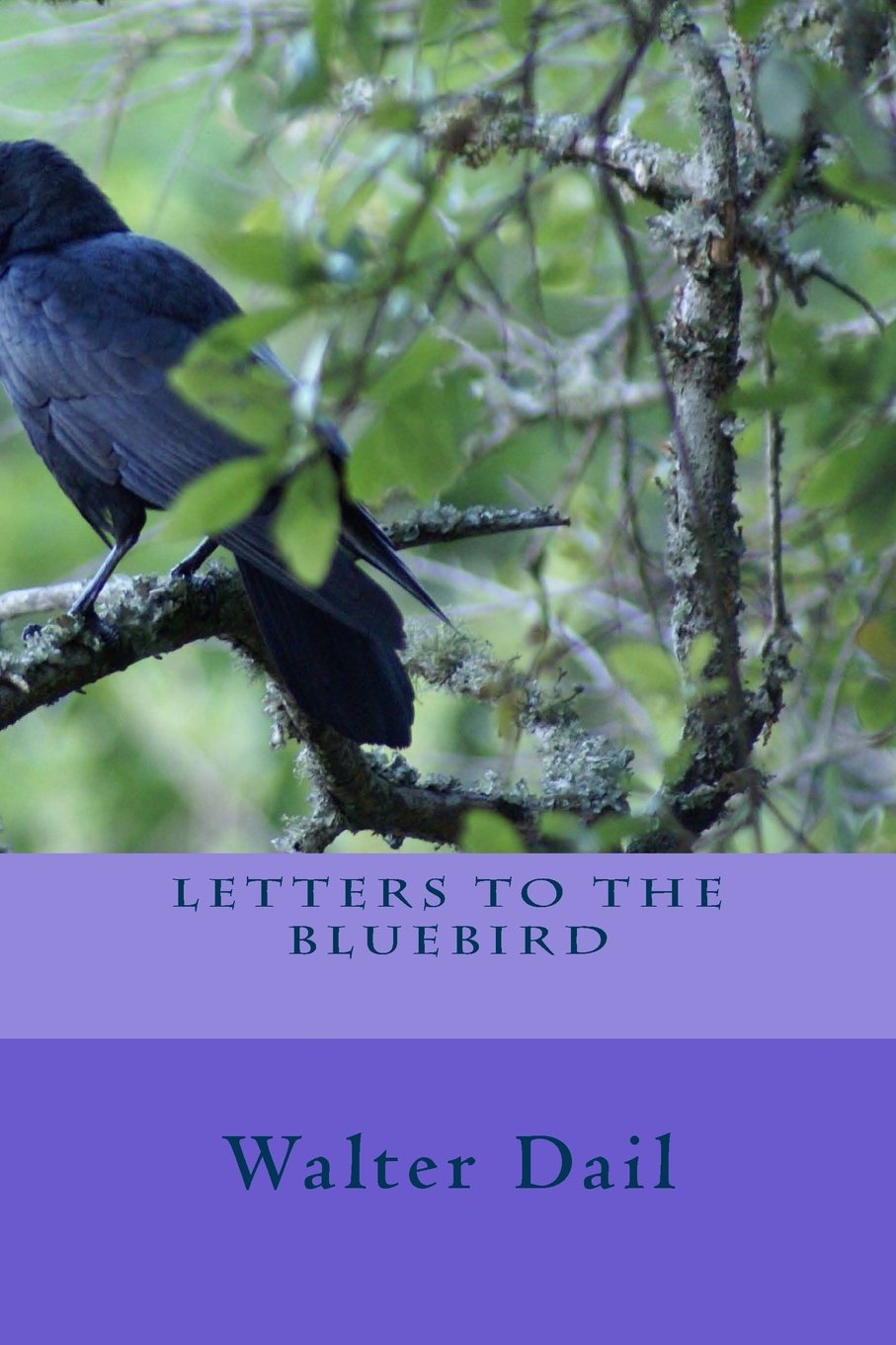 Letters To The Bluebird: Lettere To The Bluebird Poetry