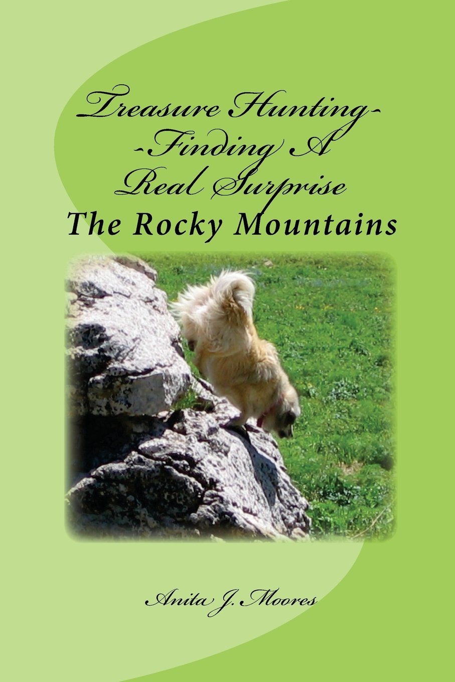 Treasure Hunting--Finding A Real Surprise: The Rocky Mountains (Cheyenne And Terra—Mountain Girl Series, Band 2) Action & Adventure