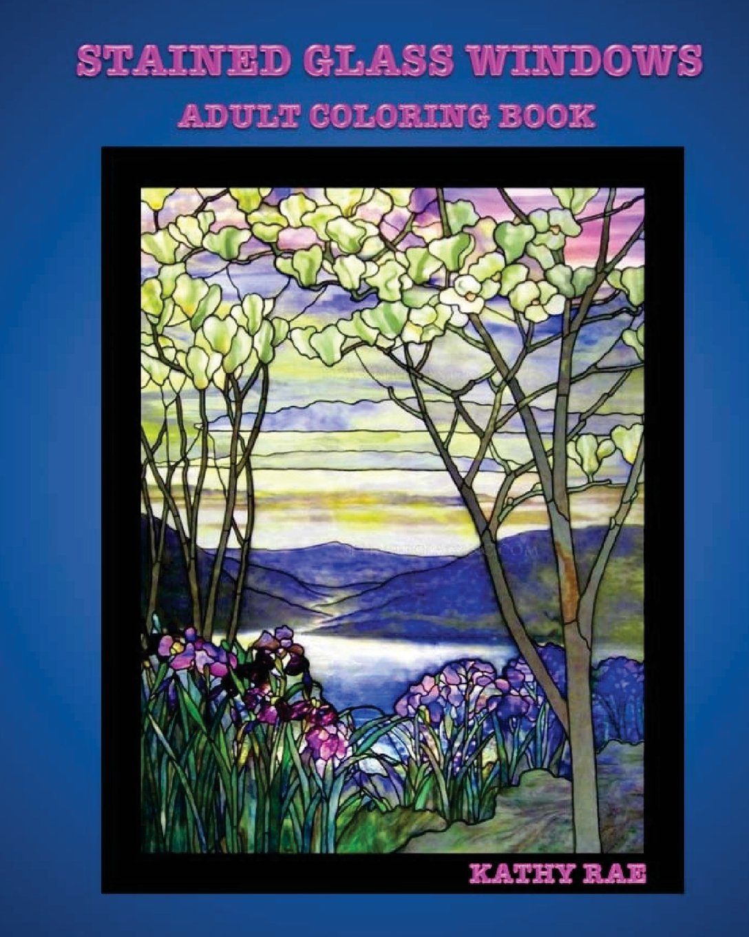 Stained Glass Windows: Adult Coloring Book of Various Stained Glass Windows (Adult Coloring Books, Band 2) Film, Art & Culture