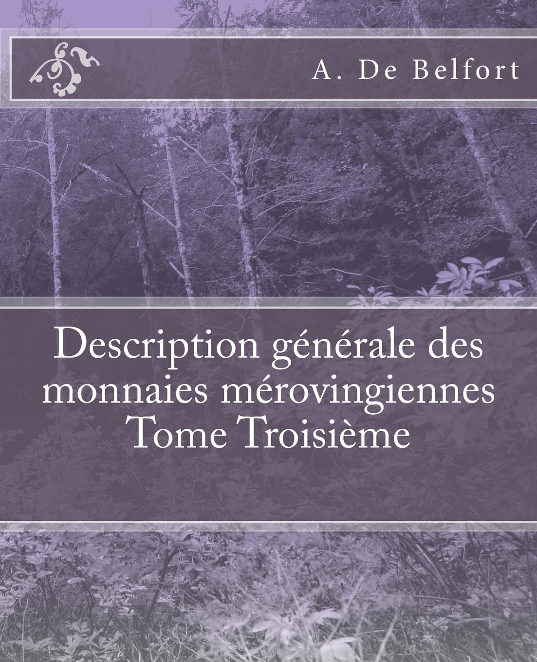 Description générale des monnaies mérovingiennes Tome Troisième book