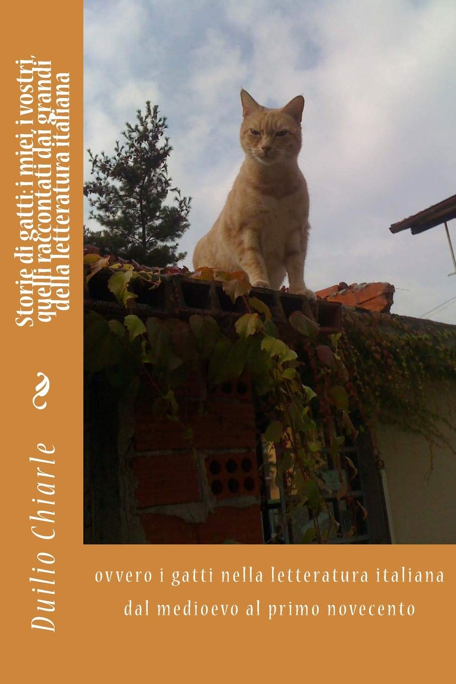 Storie di gatti: i miei, i vostri, quelli raccontati dai grandi della letteratura italiana: ovvero i gatti nella letteratura italiana dal medioevo al primo novecento book