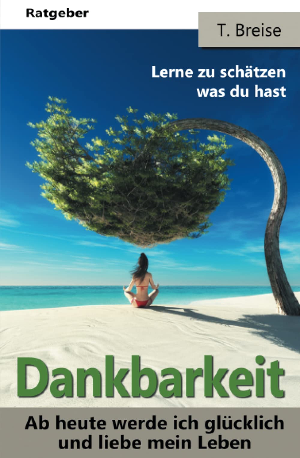 Dankbarkeit: Ab heute werde ich glücklich und liebe mein Leben! (Die Macht der Dankbarkeit! Lerne zu schätzen was du hast! Lebensfreude gewinnen!) Lifestyle