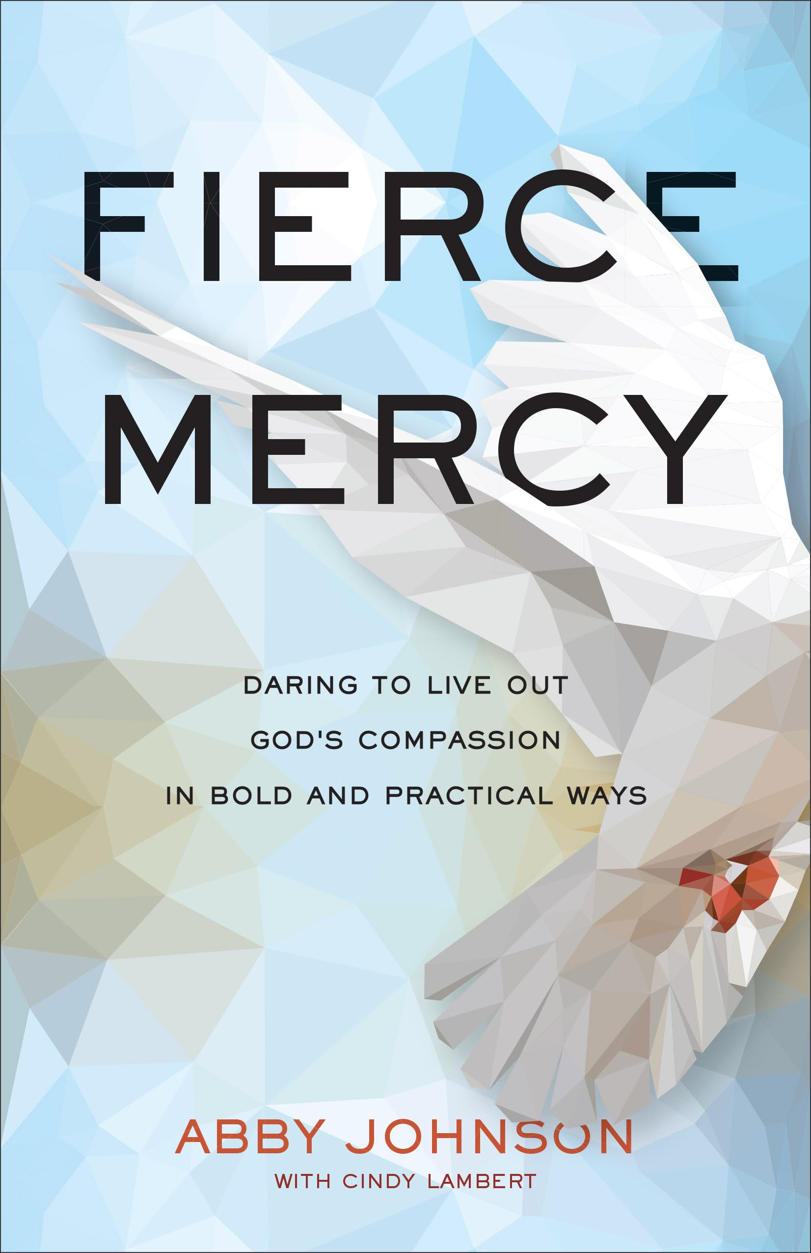 Fierce Mercy: Daring to Live Out God's Compassion in Bold and Practical Ways Art & Literature