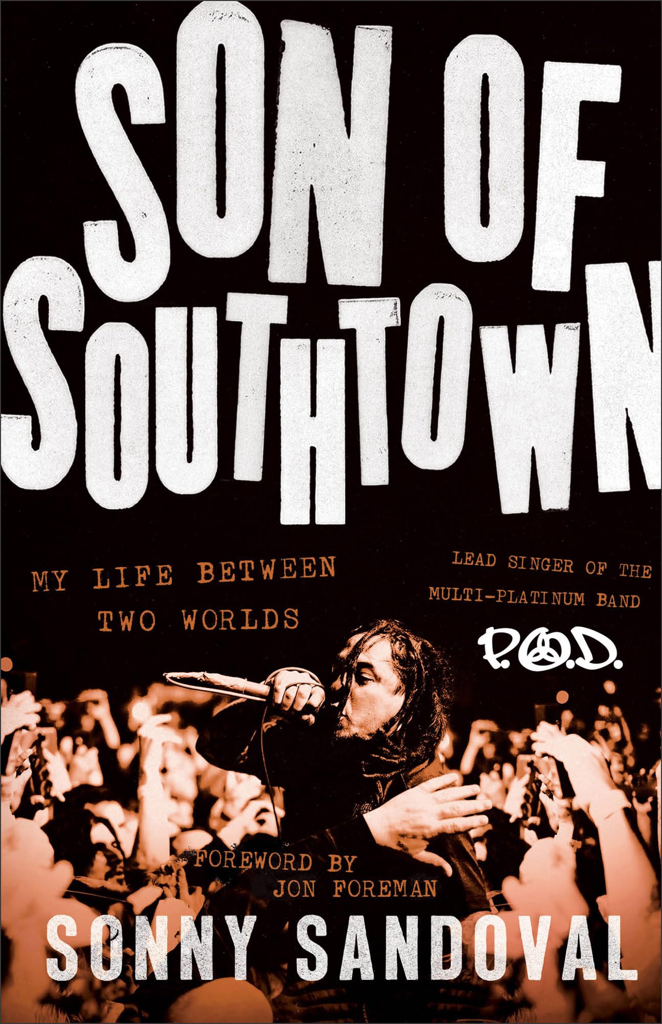 Son of Southtown Pop culture