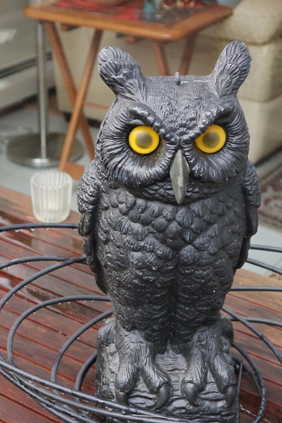 Product Image: Owl Picnic Journal