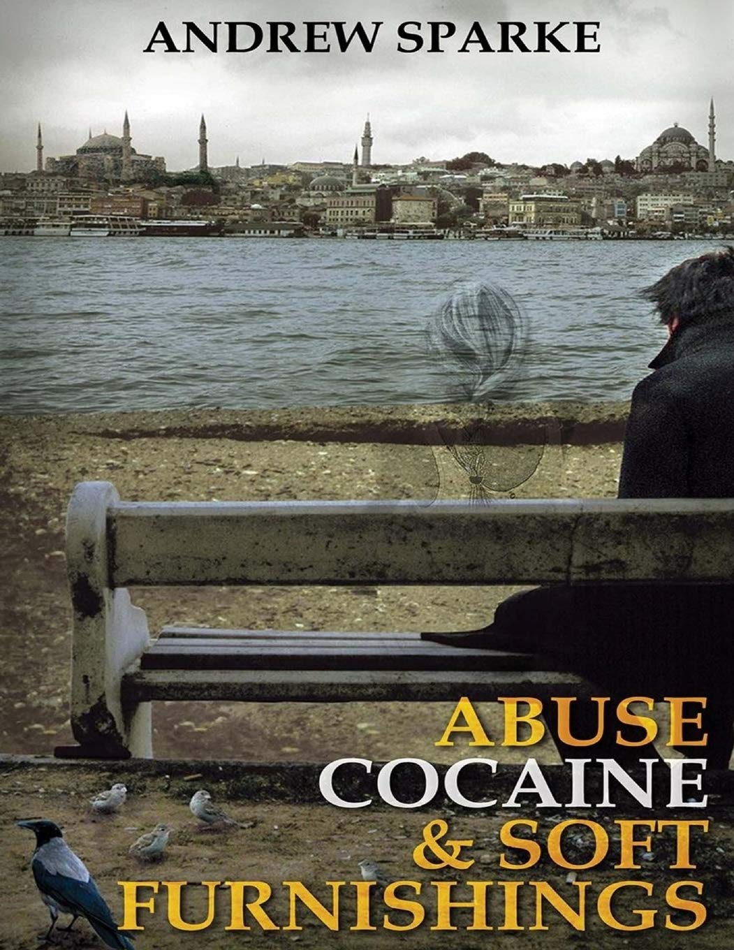 Abuse Cocaine & Soft Furnishings: (Large Print) (The Lincoln Trilogy, Band 2) Contemporary literature