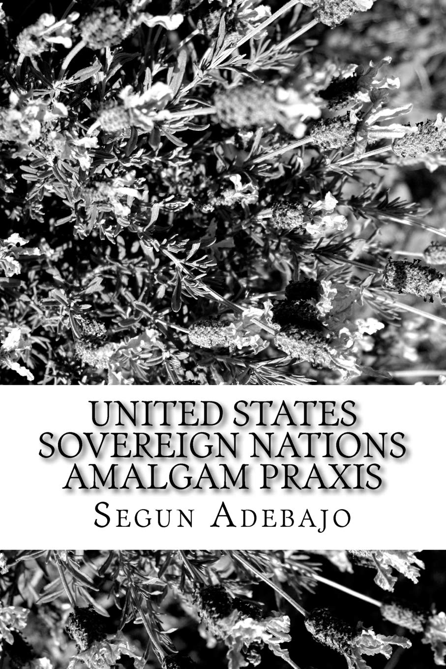 United States Sovereign Nations Amalgam Praxis: The Great American Dreams Contemporary literature