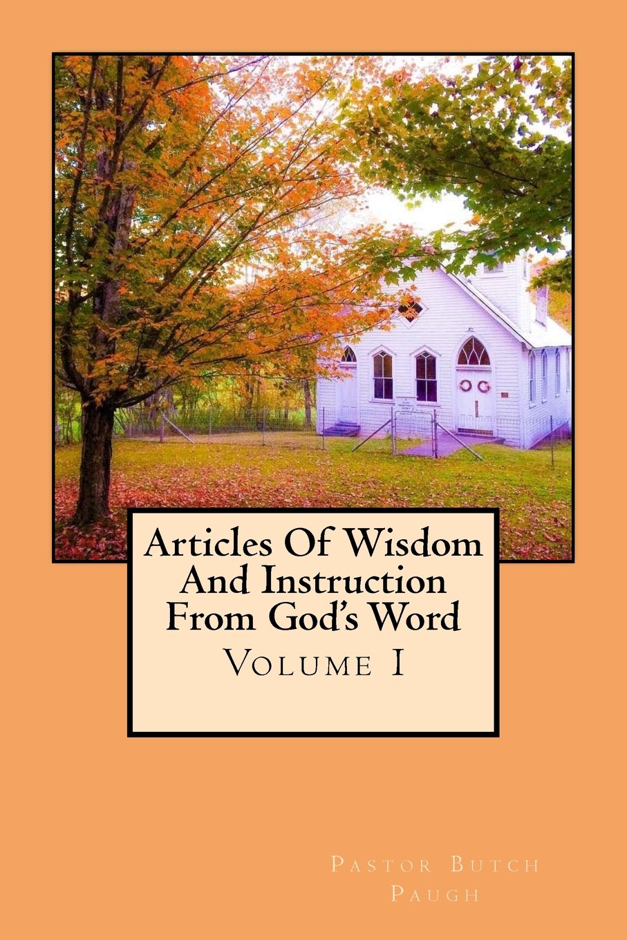 Articles Of Wisdom And Instruction From God's Word: Volume I Religion & Esotericism