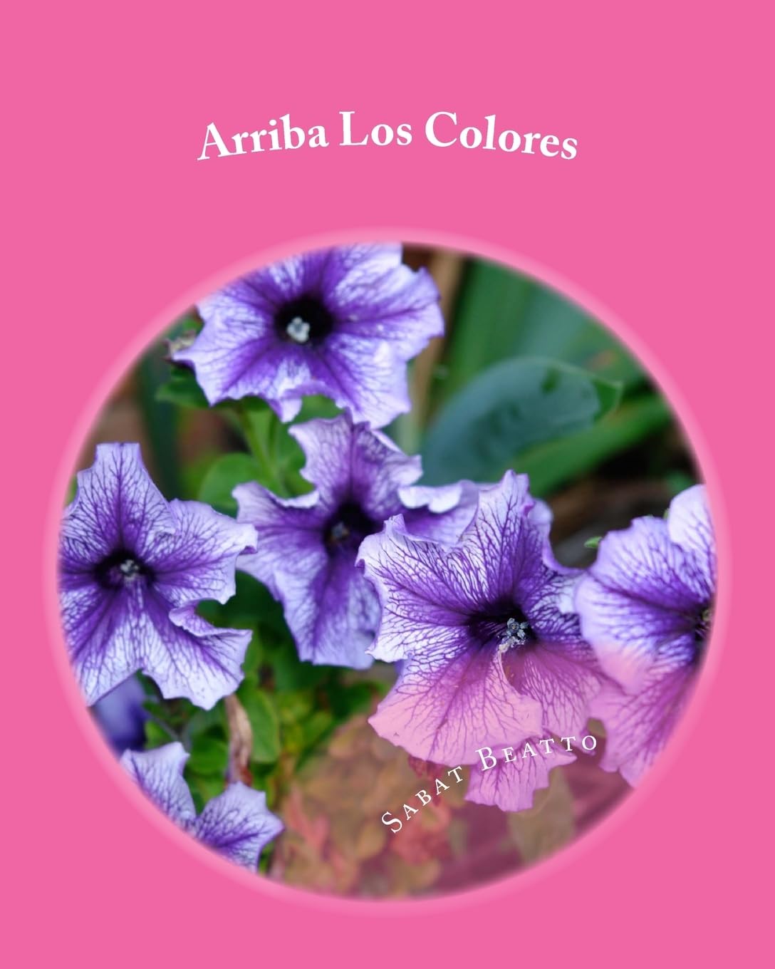 Arriba Los Colores: Coloring Flowers Film, Art & Culture