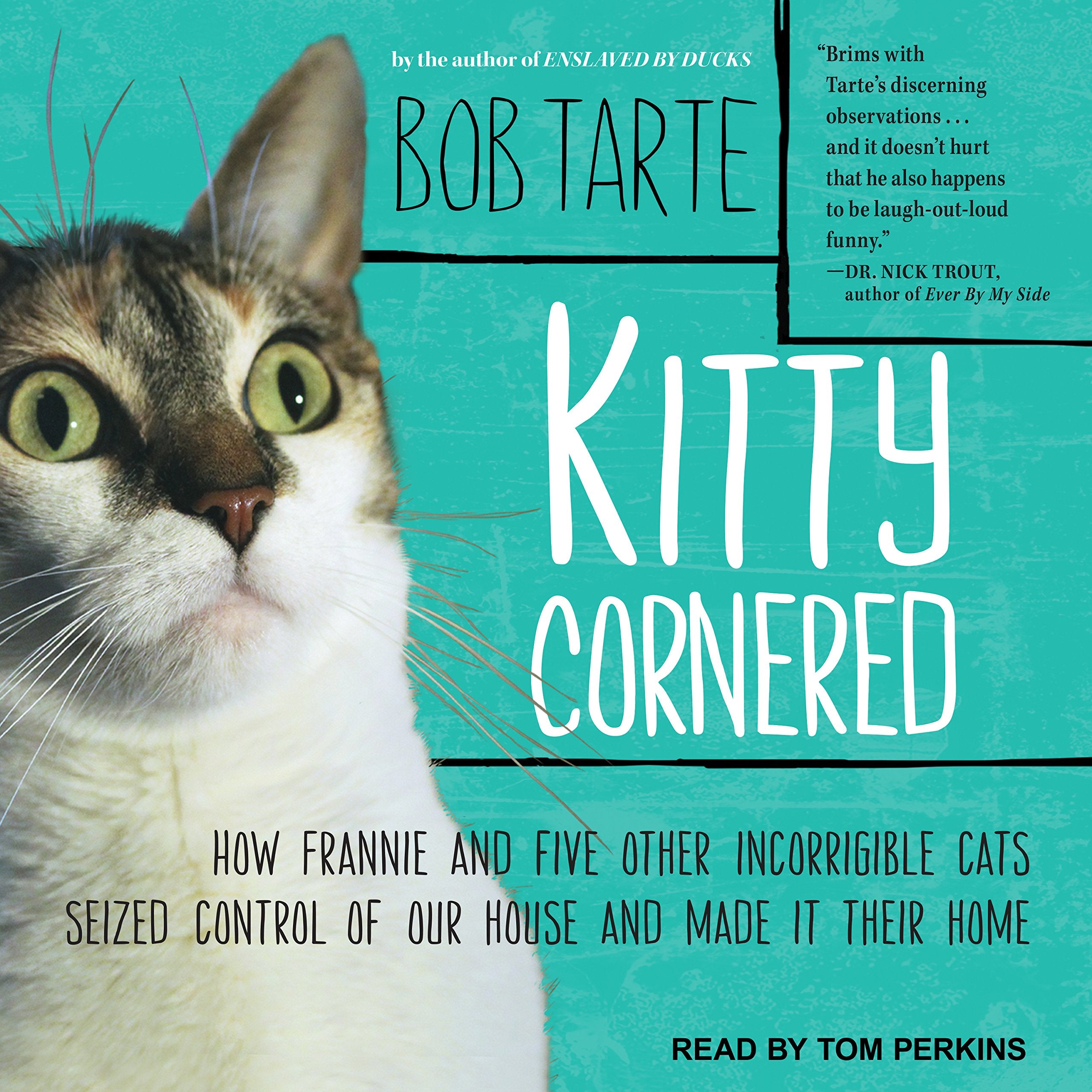 Kitty Cornered: How Frannie and Five Other Incorrigible Cats Seized Control of Our House and Made It Their Home Memories