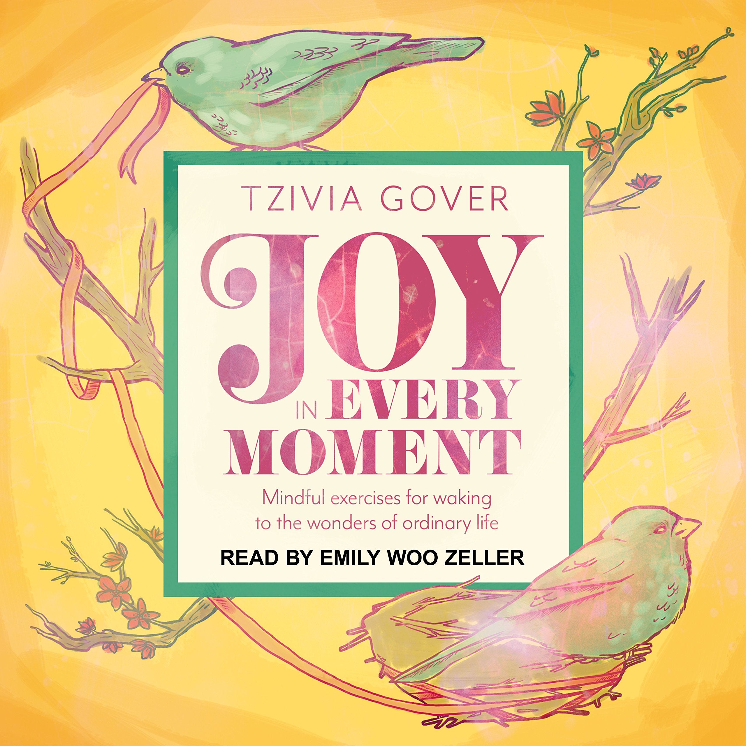Joy in Every Moment: Mindful Exercises for Waking Up to the Wonders of Ordinary Life Lifestyle