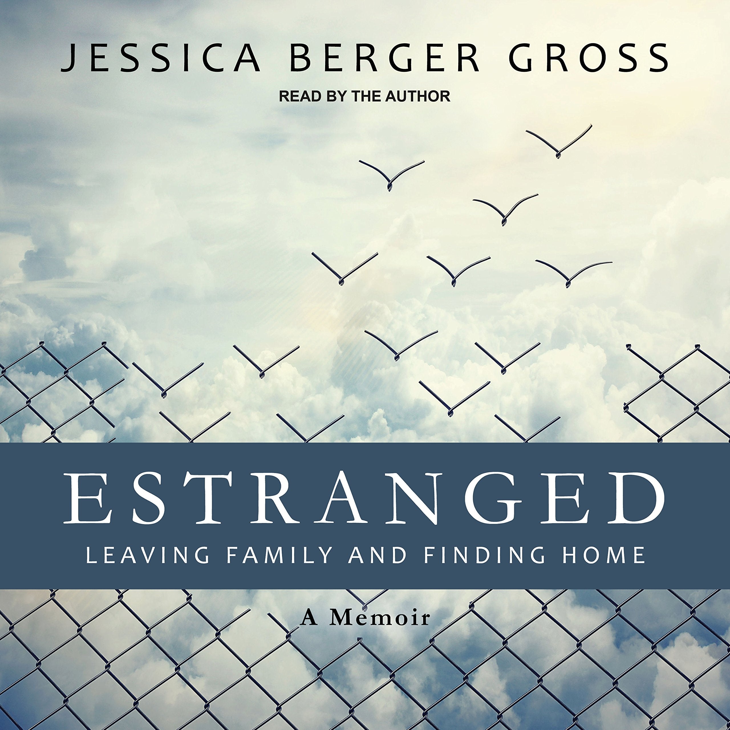 Estranged: Leaving Family and Finding Home Psychology