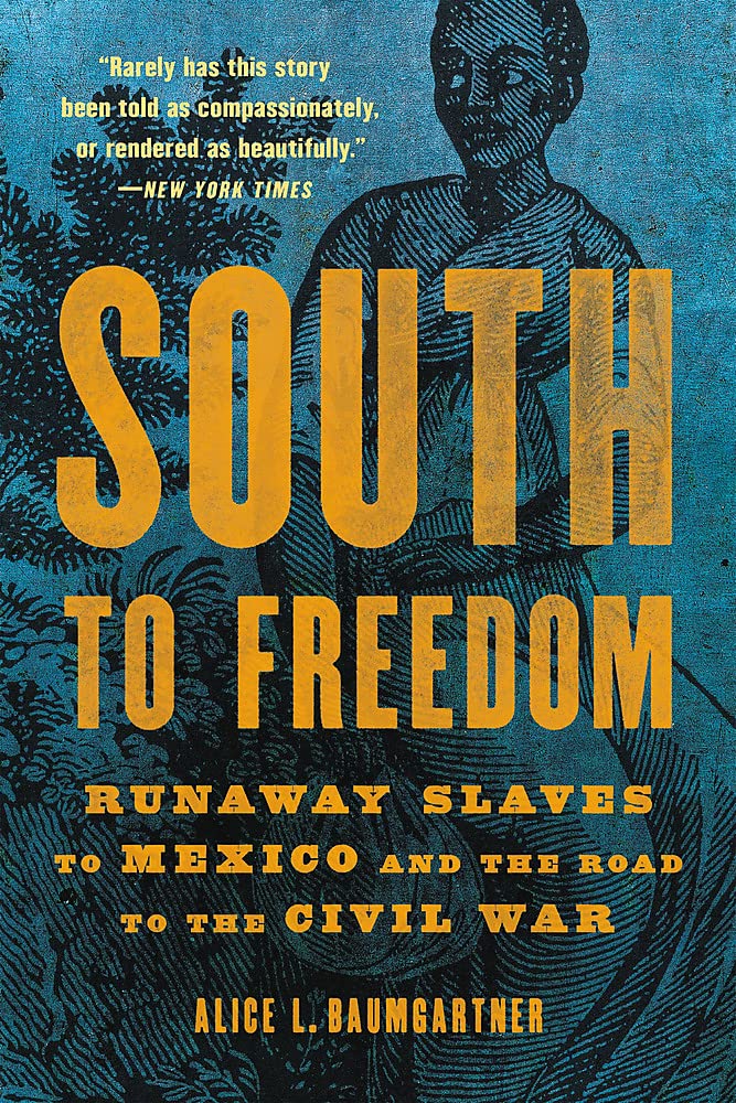 South to Freedom: Runaway Slaves to Mexico and the Road to the Civil War Social Sciences