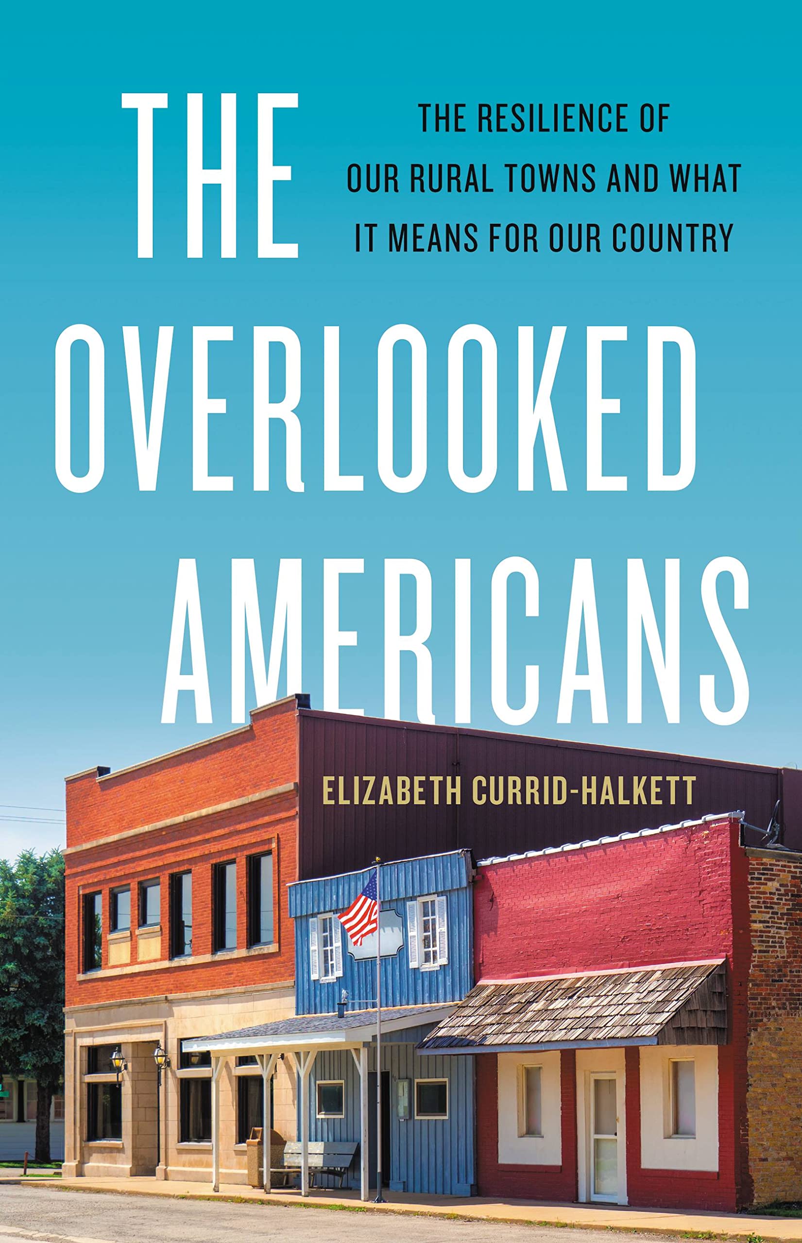 The Overlooked Americans: The Resilience of Our Rural Towns and What It Means for Our Country Social Sciences