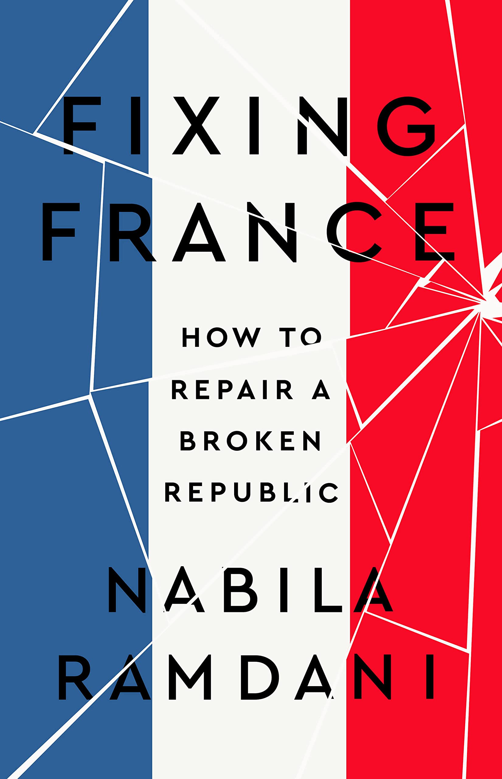 Fixing France: How to Repair a Broken Republic General education