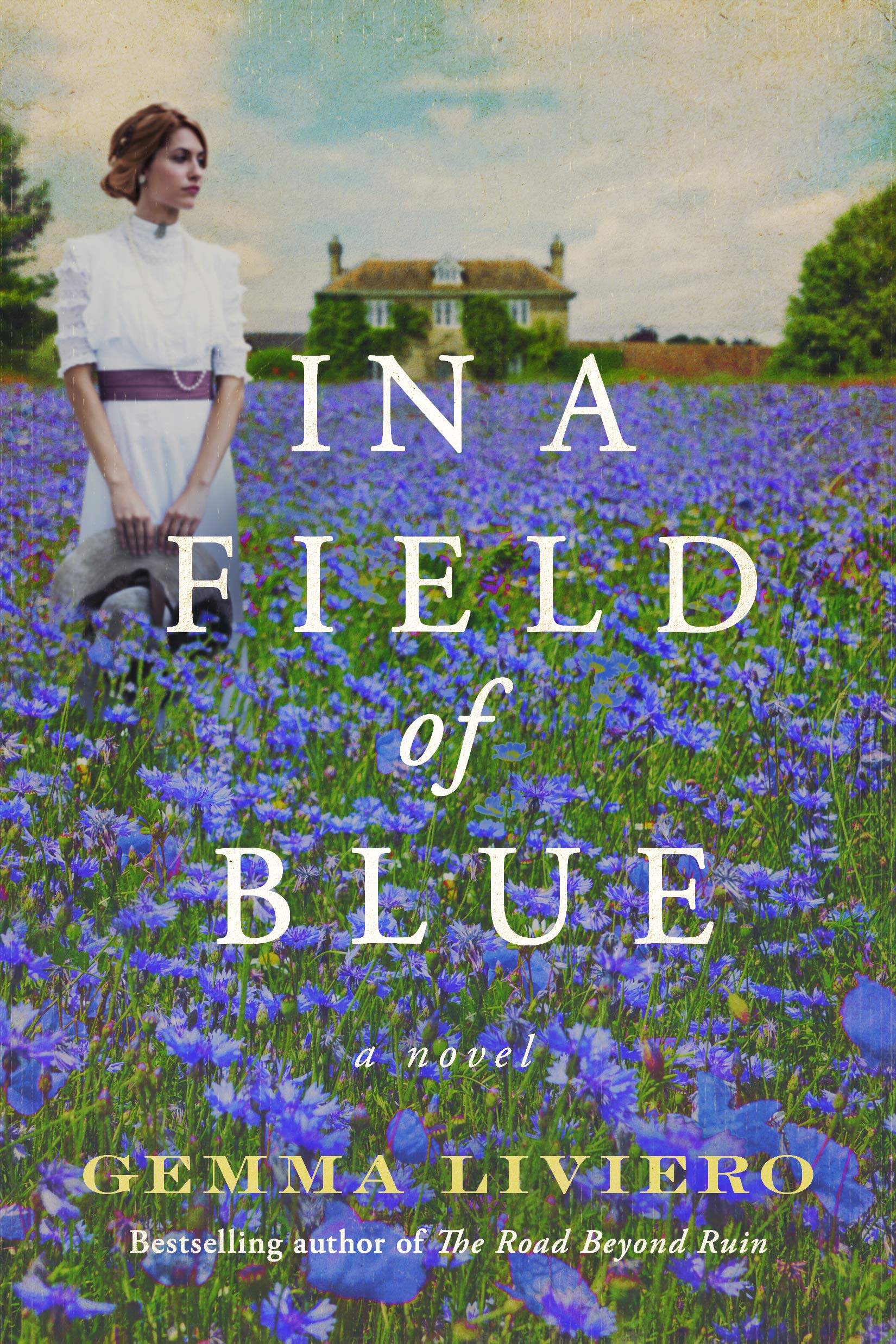 In a Field of Blue Historical Fiction