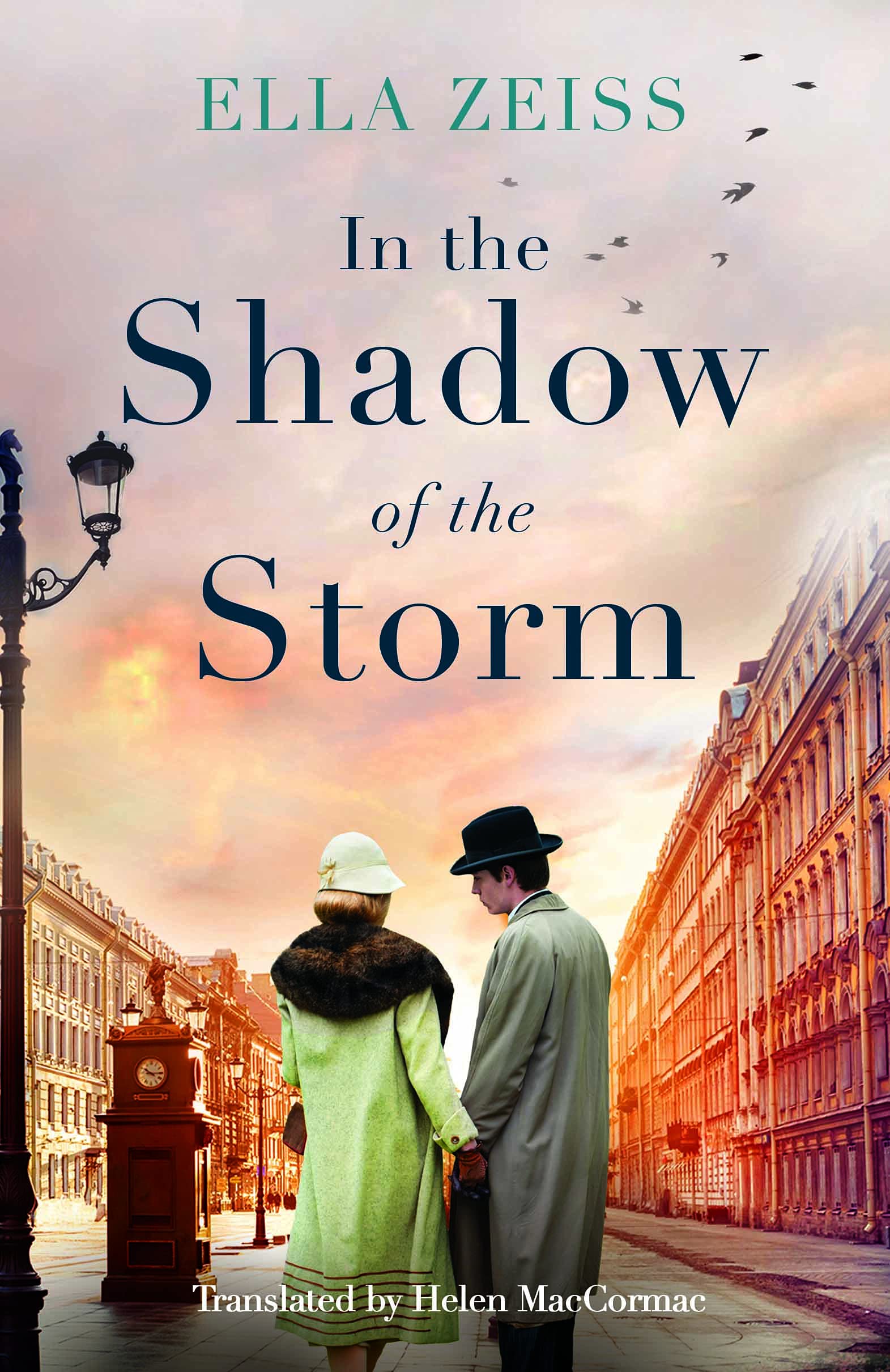 In the Shadow of the Storm book