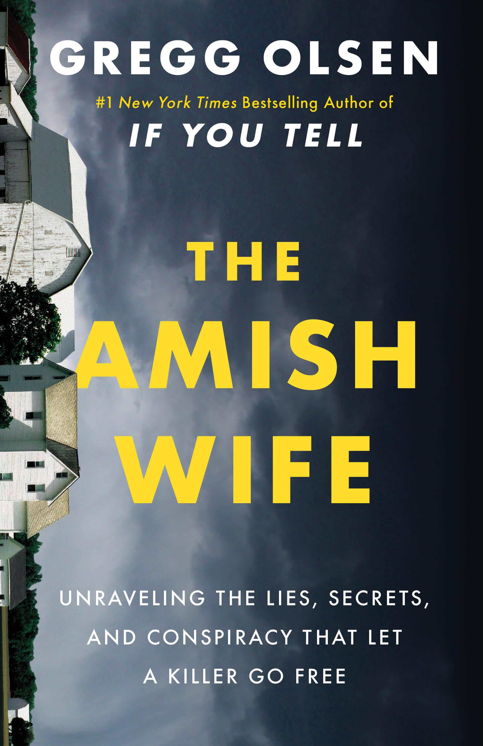 The Amish Wife: Unraveling the Lies, Secrets, and Conspiracy That Let a Killer Go Free Politics & Society
