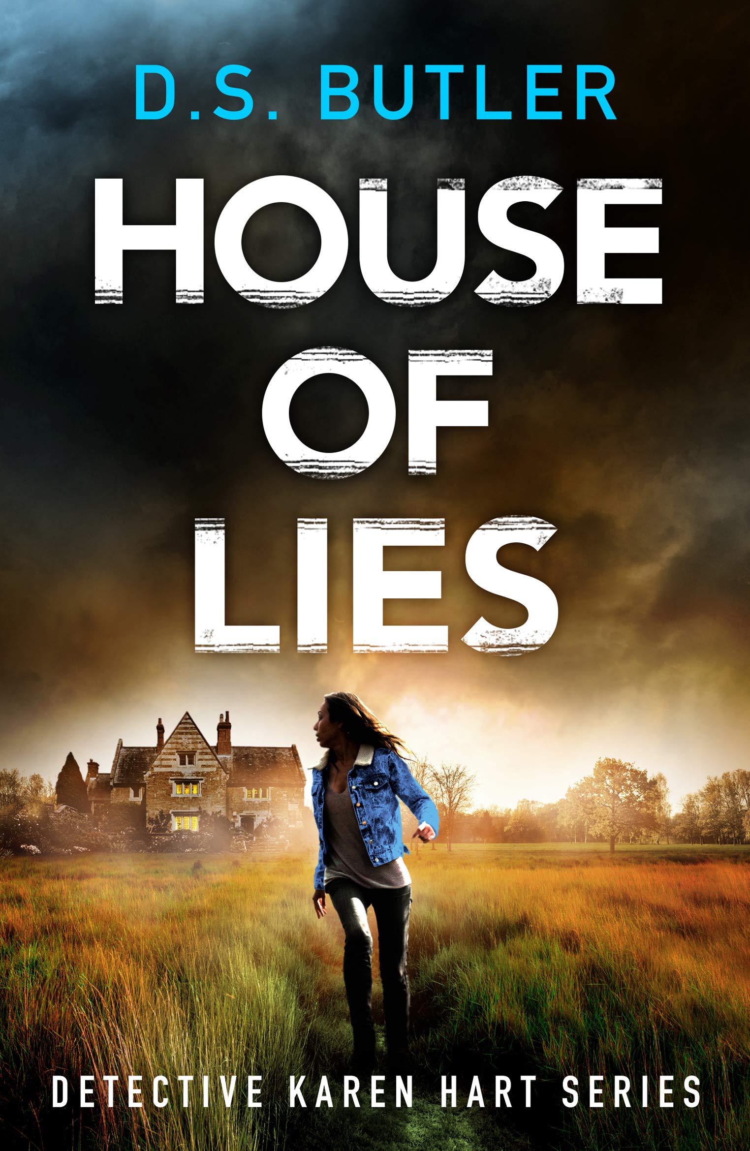 House of Lies book