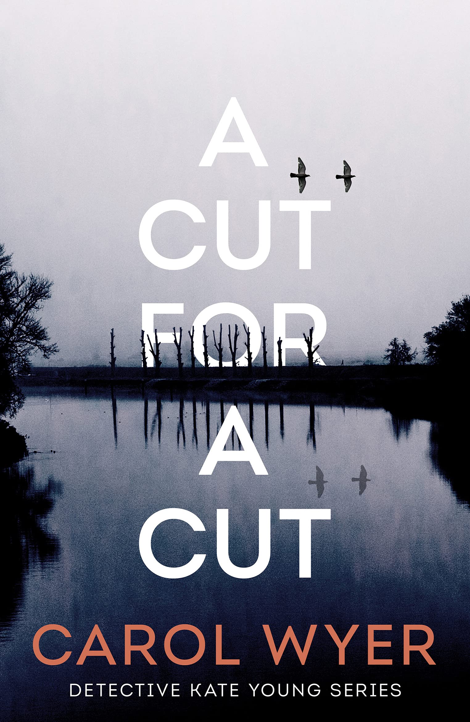 A Cut for a Cut (Detective Kate Young, Band 2) Action & Adventure