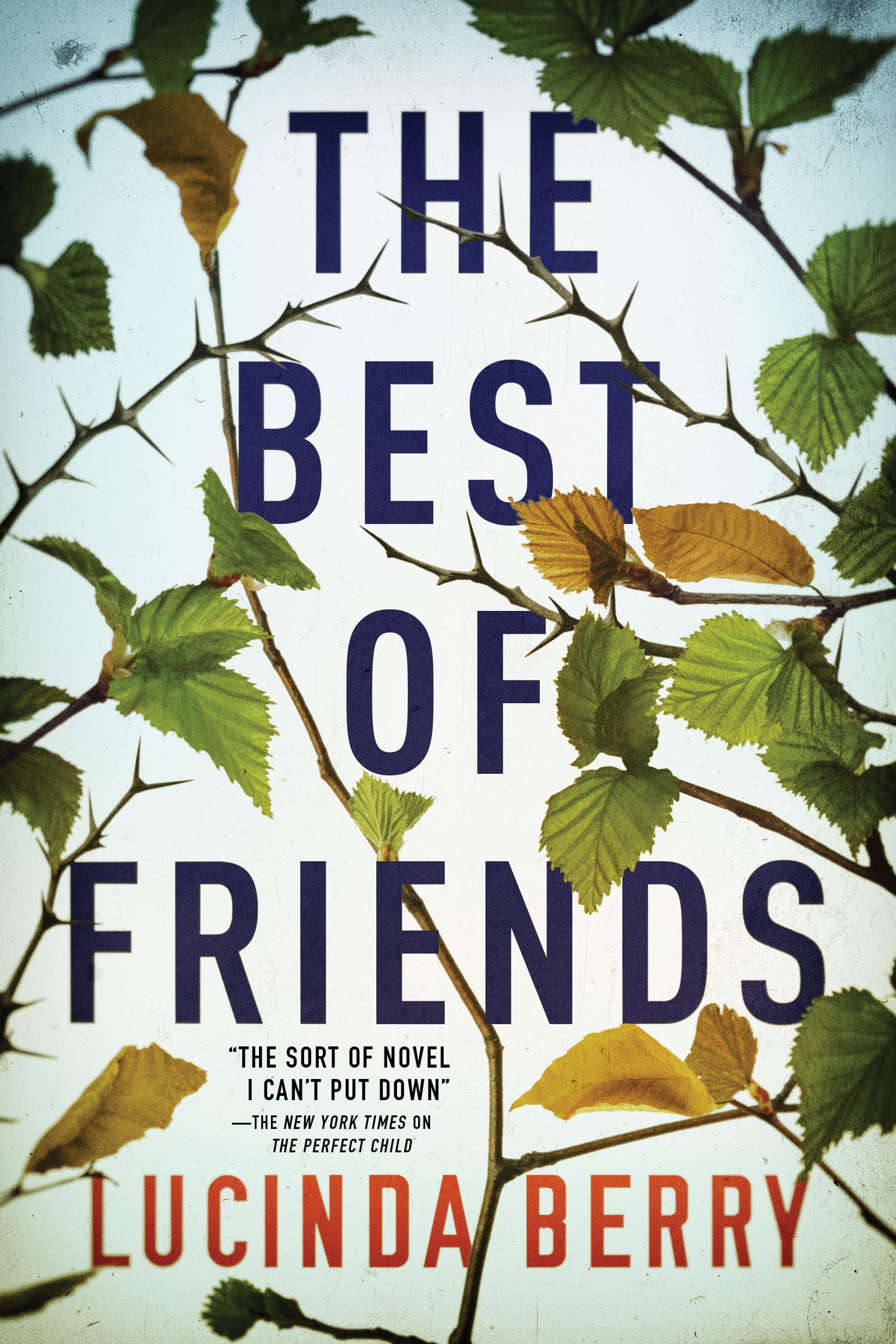 The Best of Friends Contemporary literature