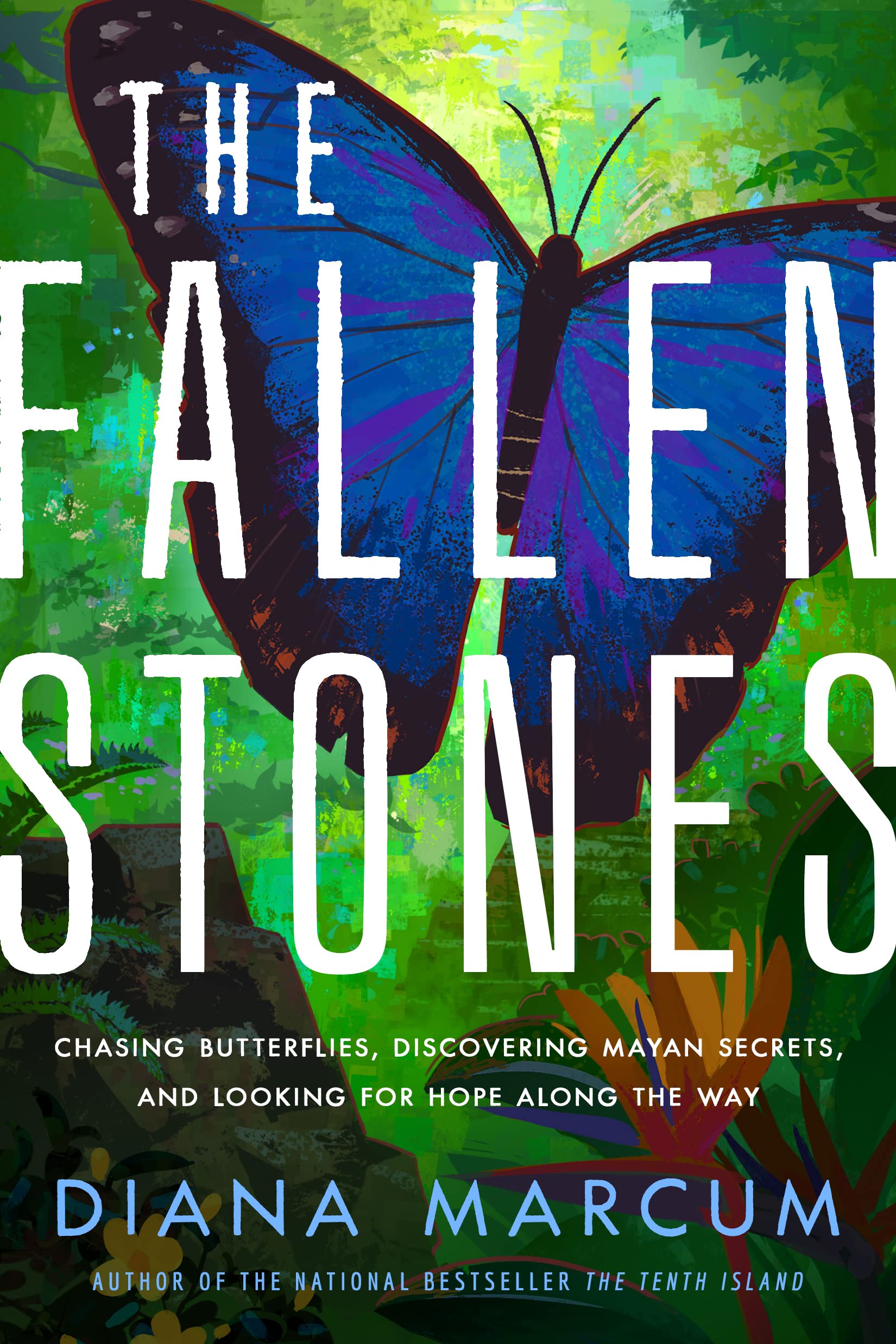 The Fallen Stones: Chasing Butterflies, Discovering Mayan Secrets, and Looking for Hope Along the Way book