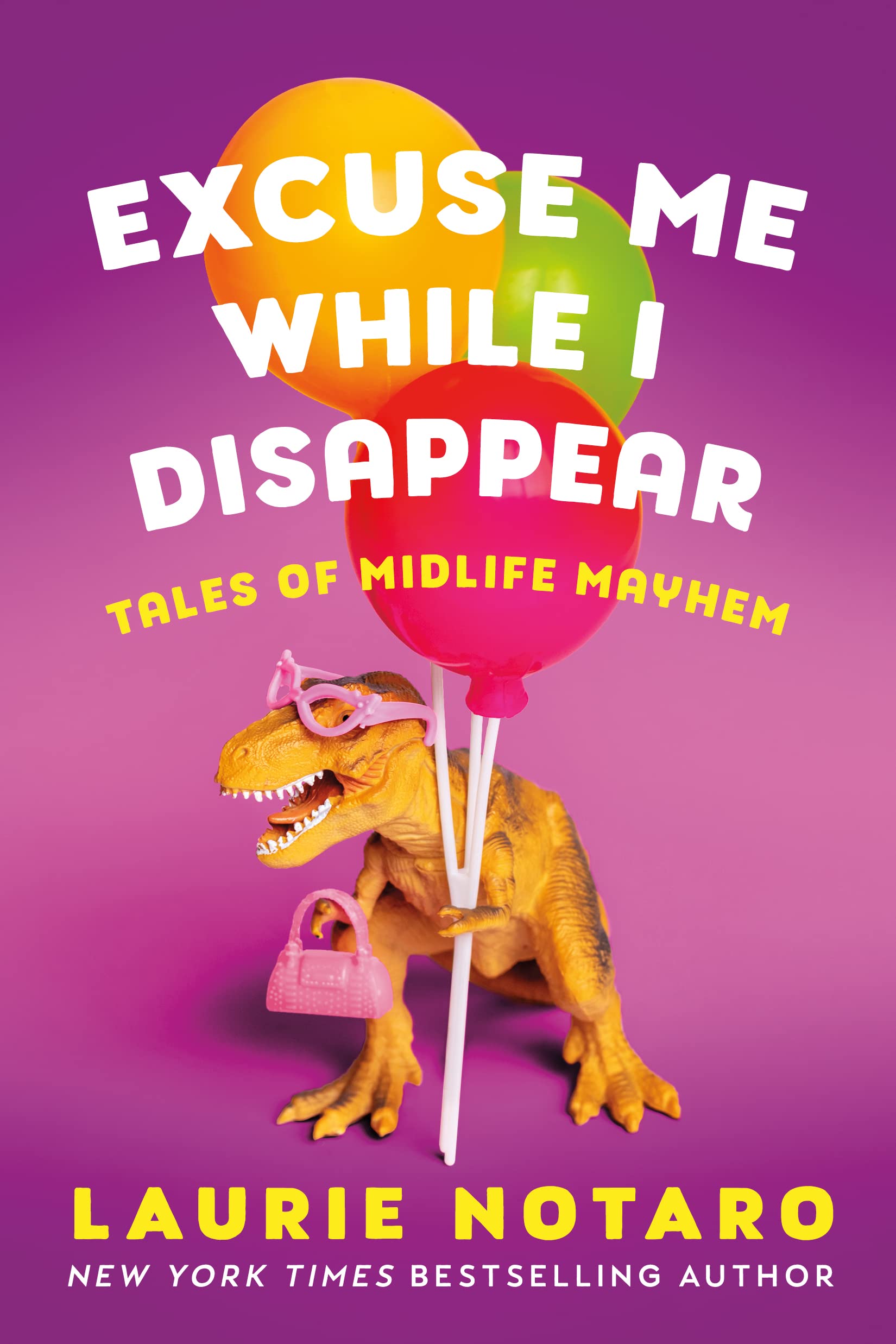 Excuse Me While I Disappear Books