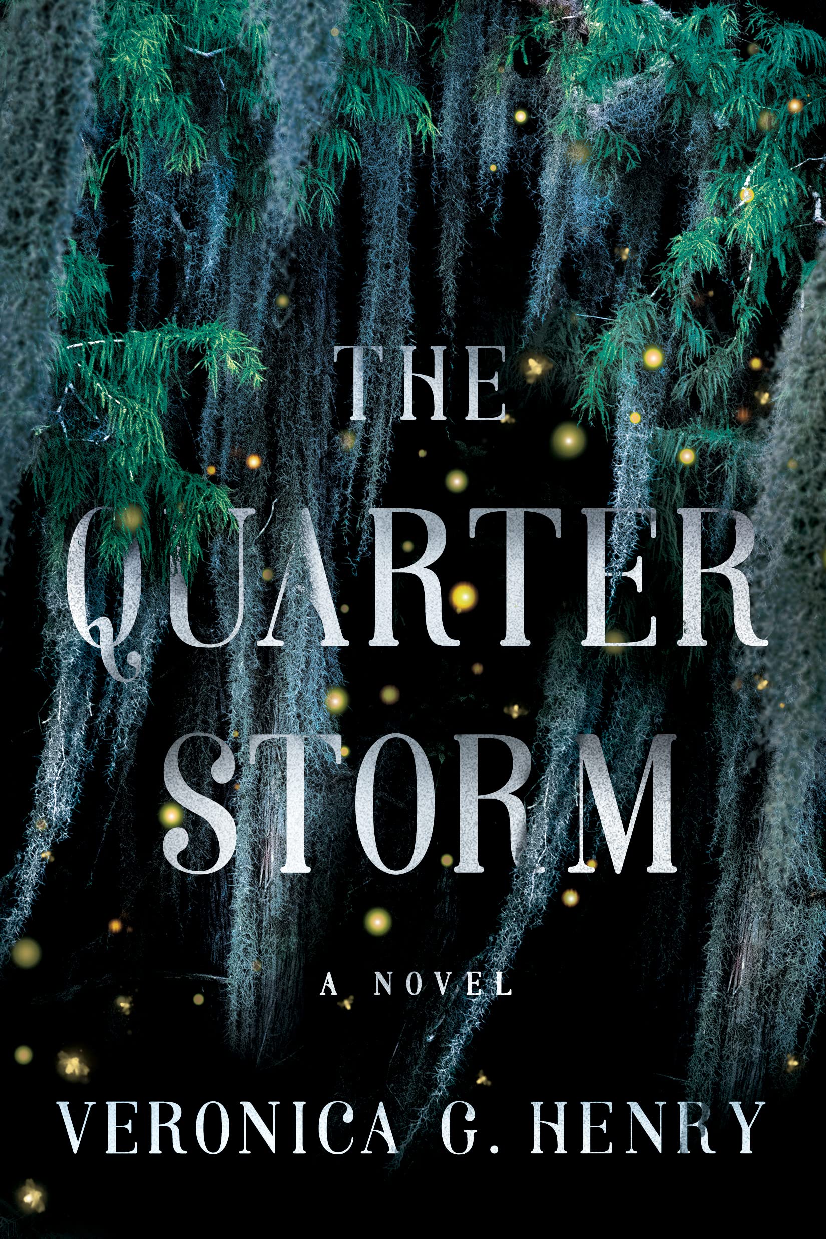 The Quarter Storm: A Novel (Mambo Reina, Band 1) Action & Adventure