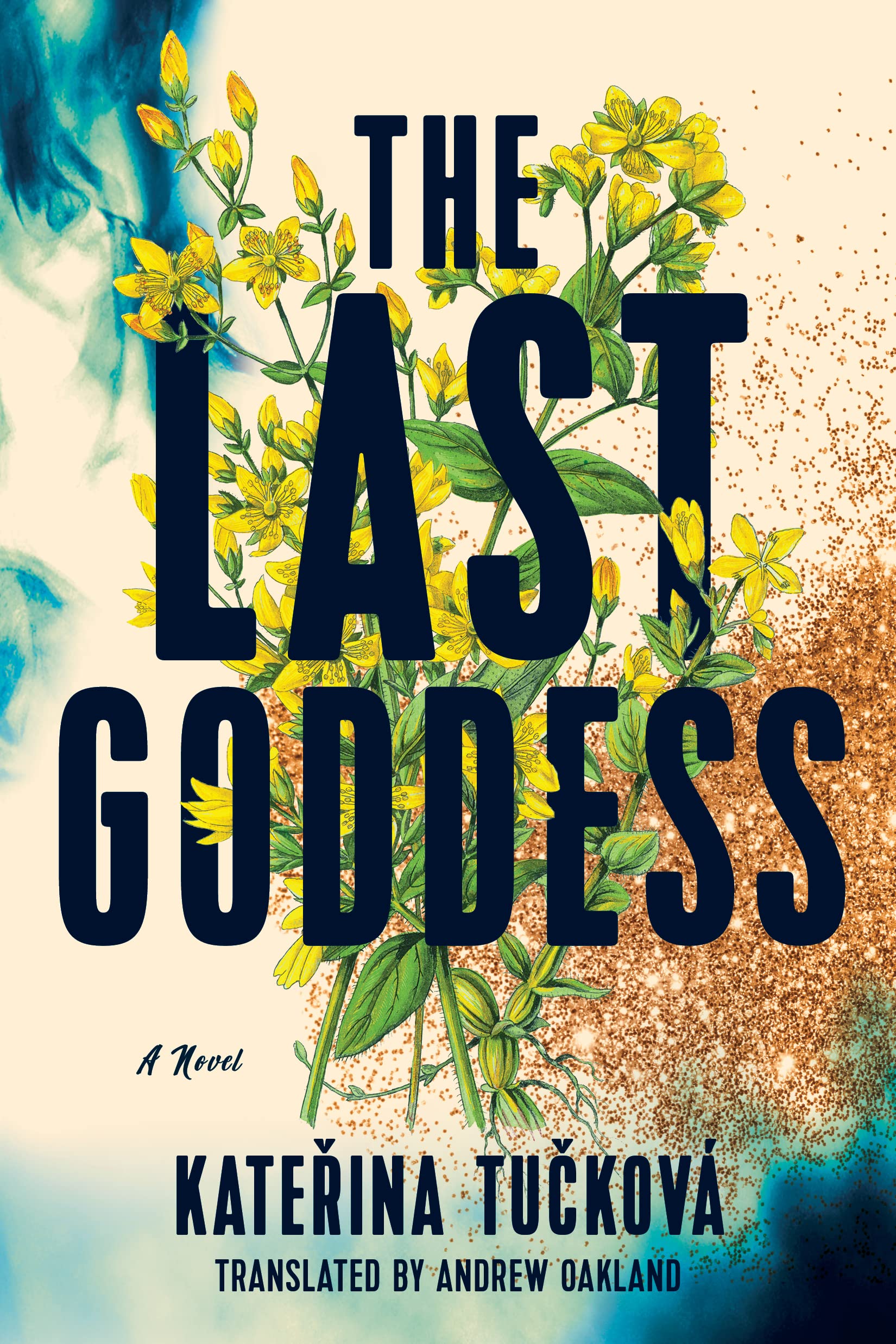 The Last Goddess: A Novel Contemporary literature