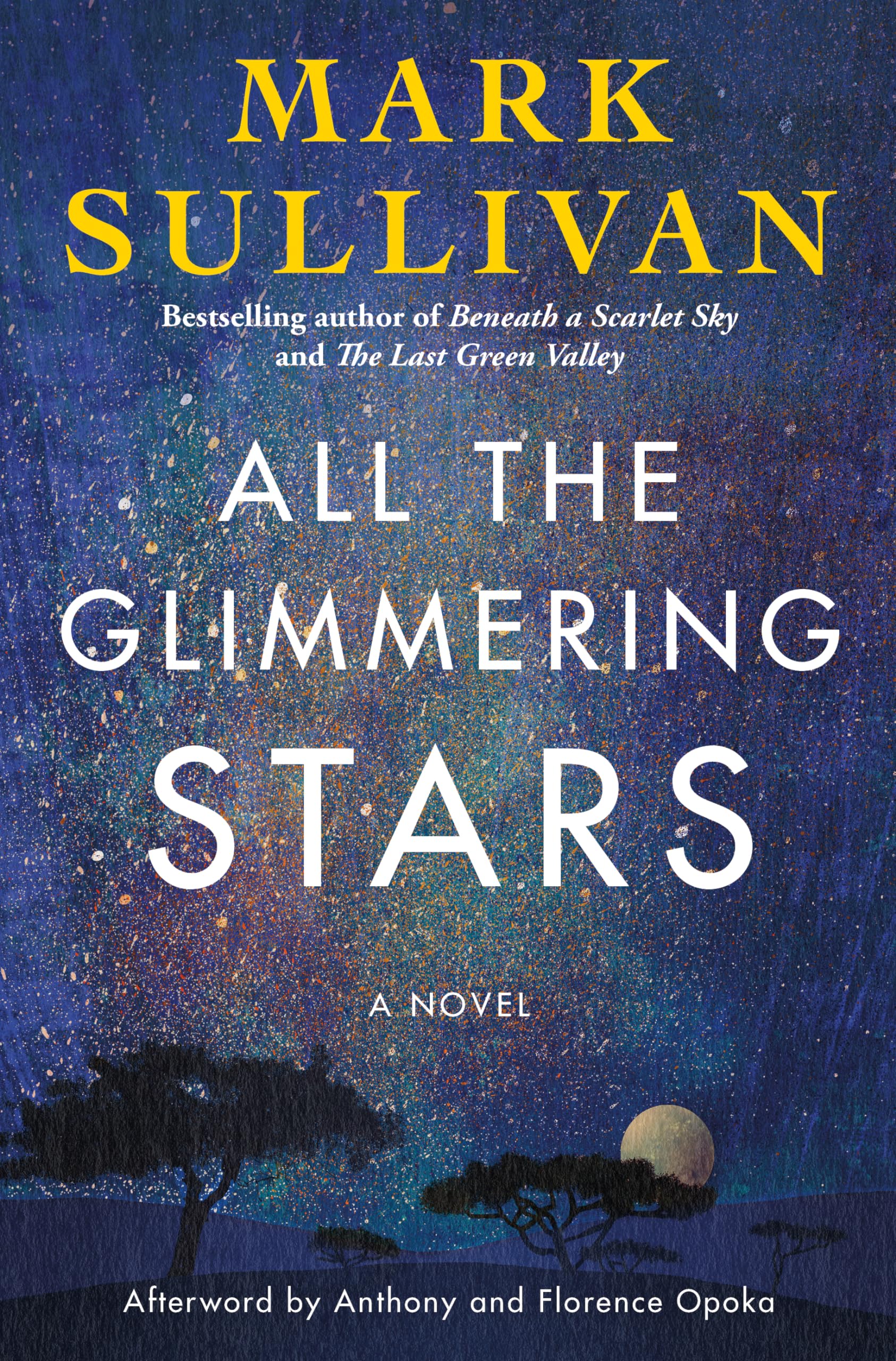 All the Glimmering Stars: A Novel Contemporary literature