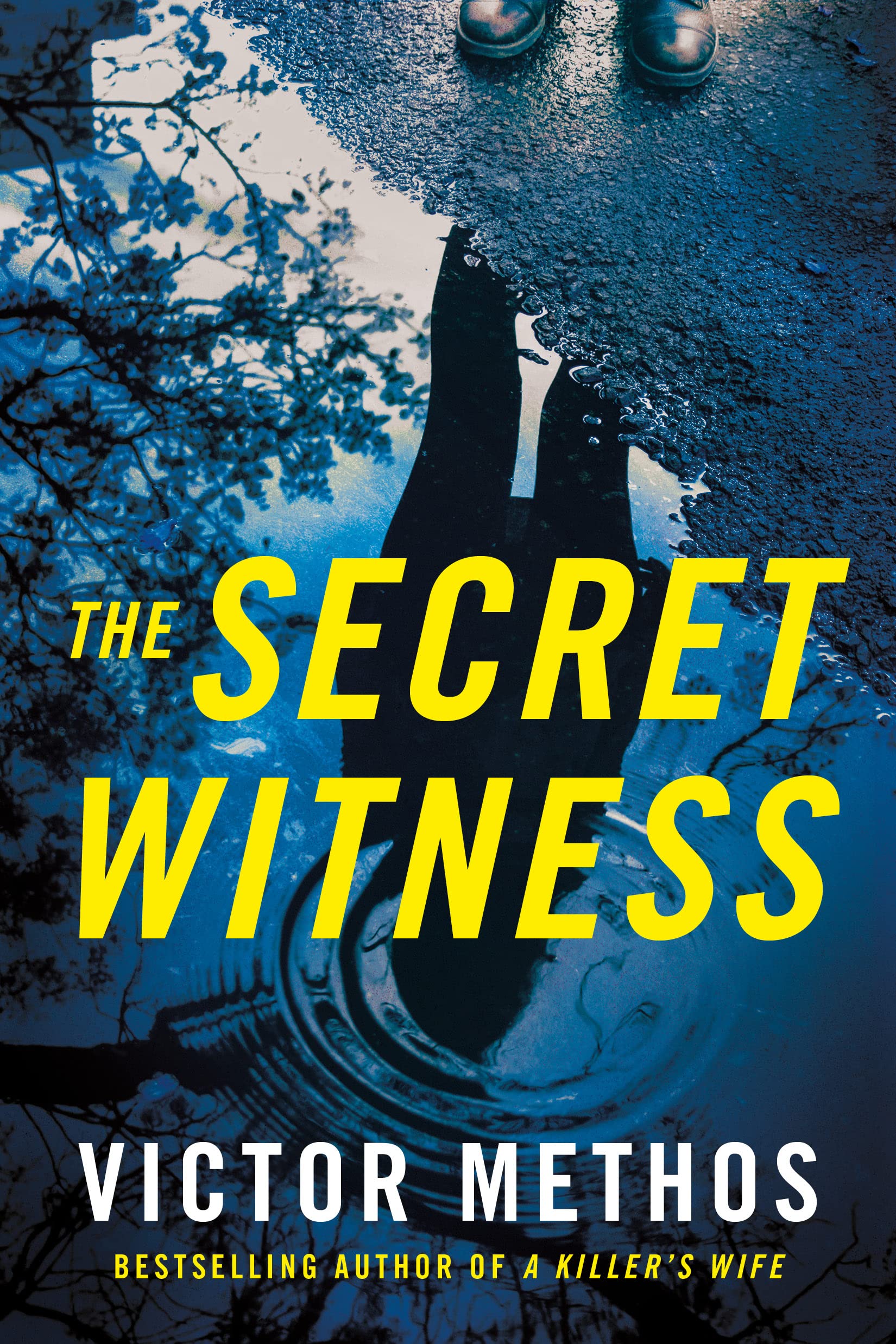 The Secret Witness (Shepard & Gray, Band 1) Action & Adventure