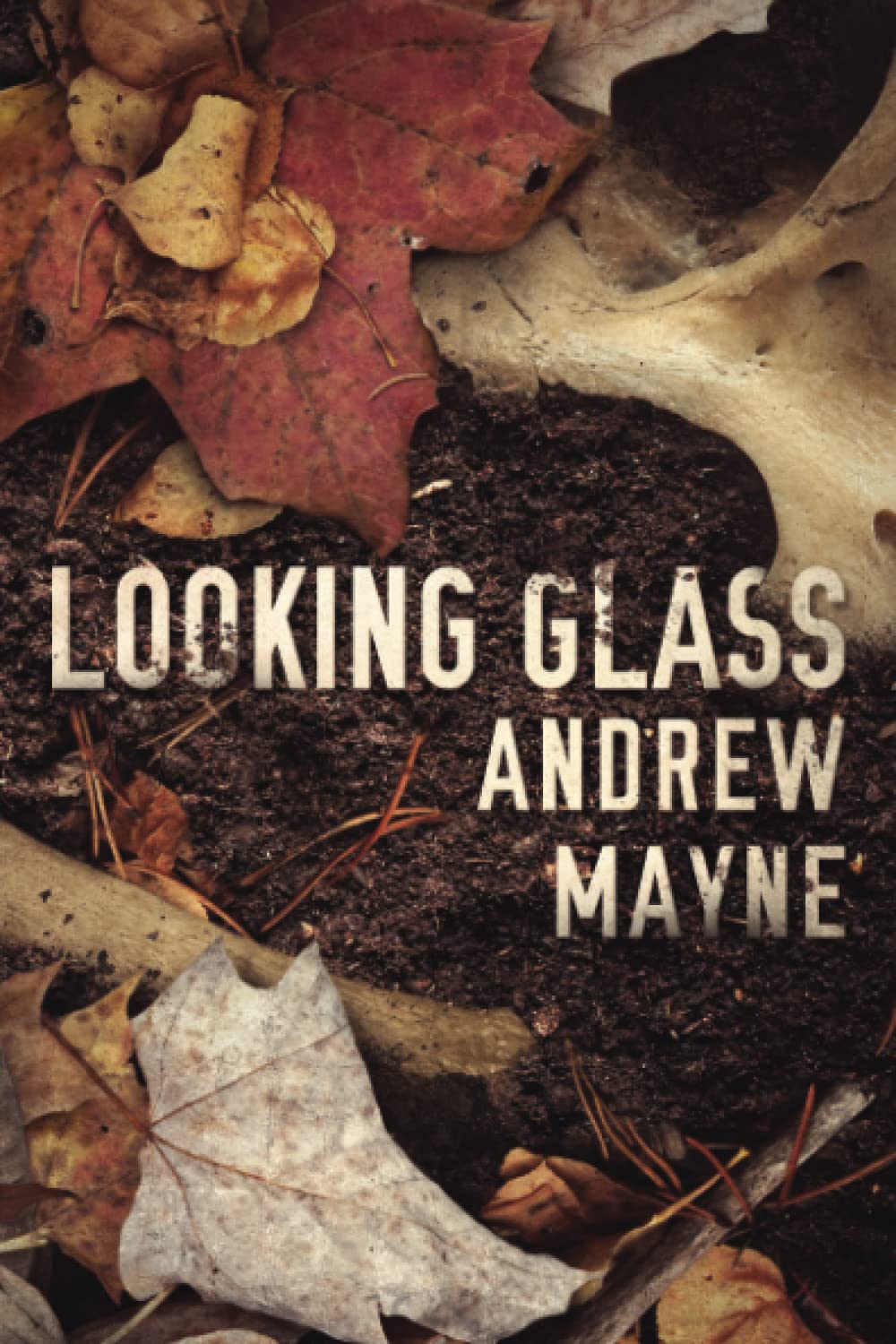 Looking Glass (The Naturalist, Band 2) Contemporary literature