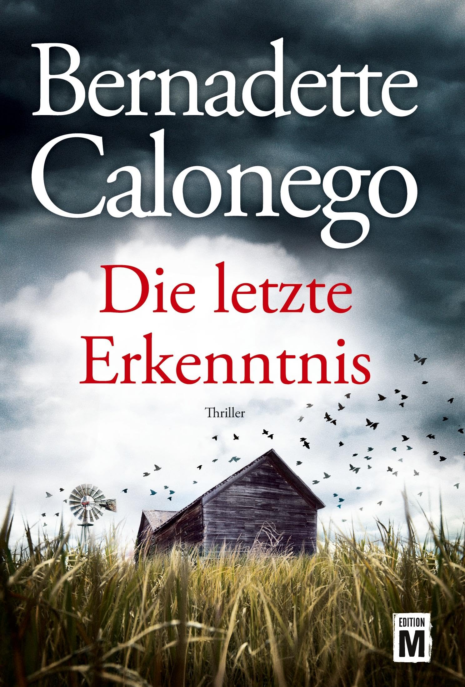 Die letzte Erkenntnis Contemporary literature