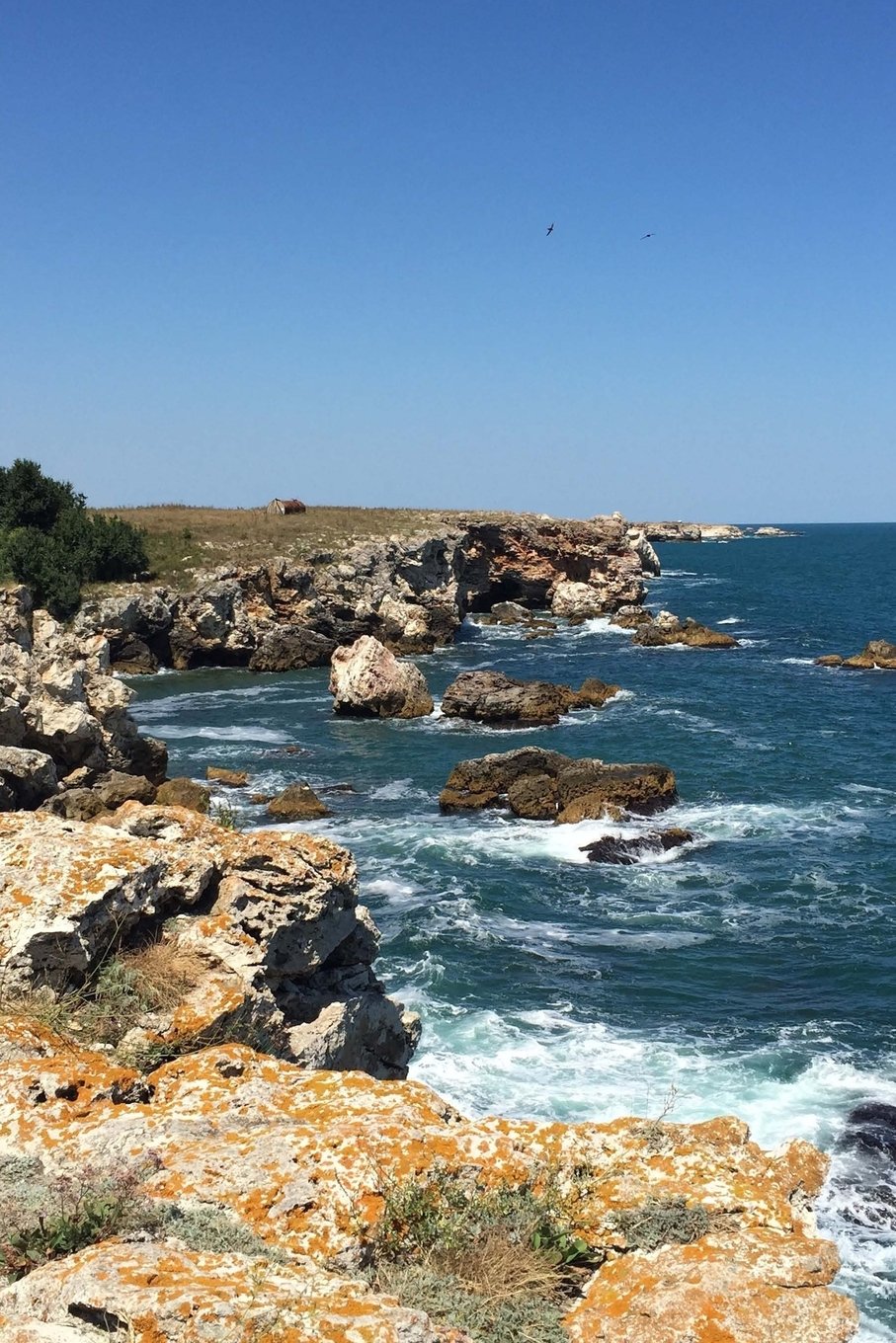 Scenic Rocky Coast of the Black Sea in Bulgaria Journal: 150 Page Lined Notebook/Diary Travel