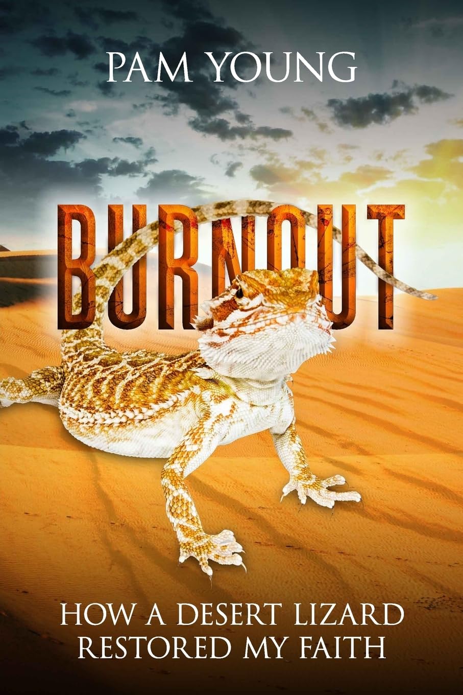 Burnout: How a Desert Lizard Restored My Faith (Burnout to Bliss, Band 1) Social Sciences