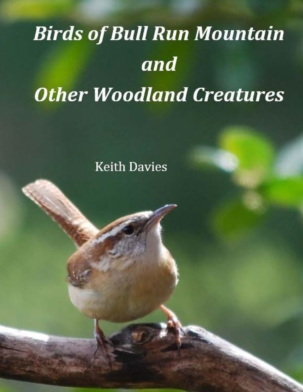 Birds of Bull Run Mountain and Other Woodland Creatures Mathematics