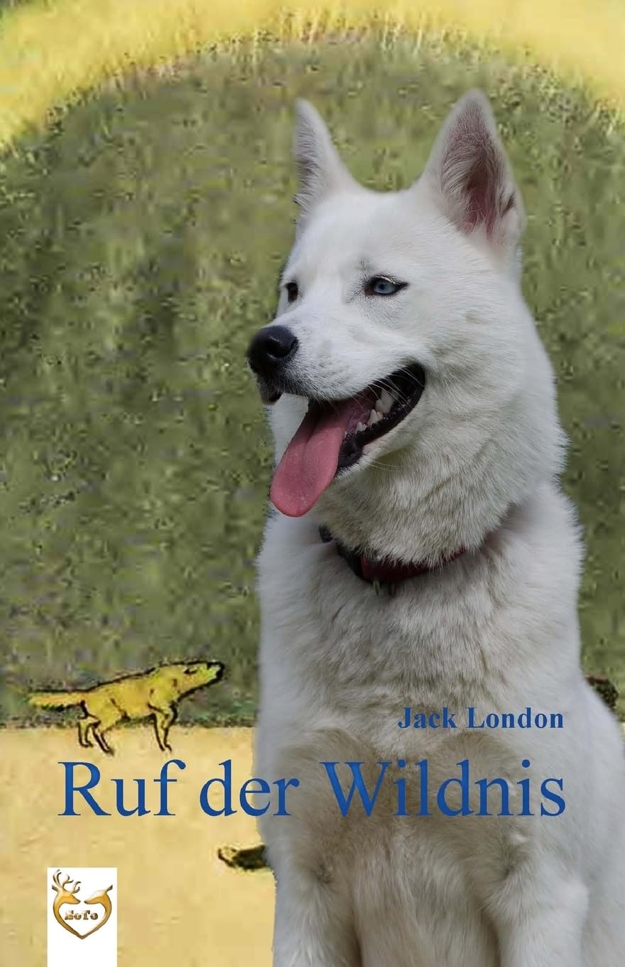 Ruf der Wildnis: farbig illustrierte Ausgabe Action & Adventure