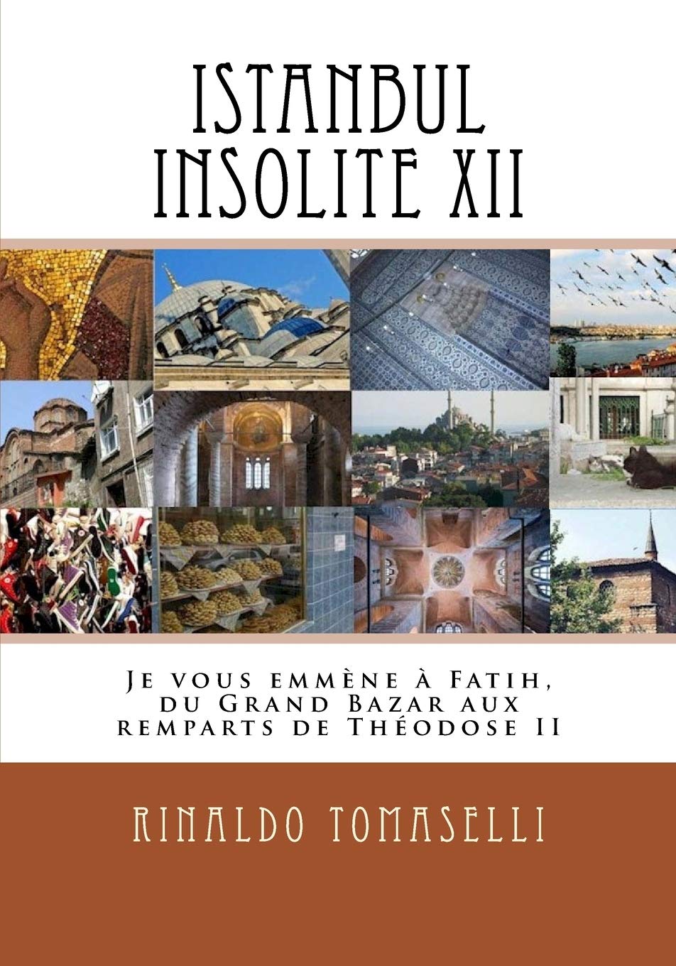 Istanbul Insolite XII: Je vous emmène à Fatih, du Grand Bazar aux remparts de Théodose II book