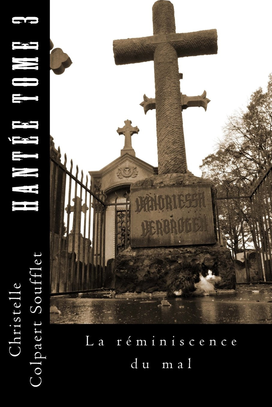 Hantee Tome 3: La reminiscence du mal (Hantée, Band 3) Horror & Mystery