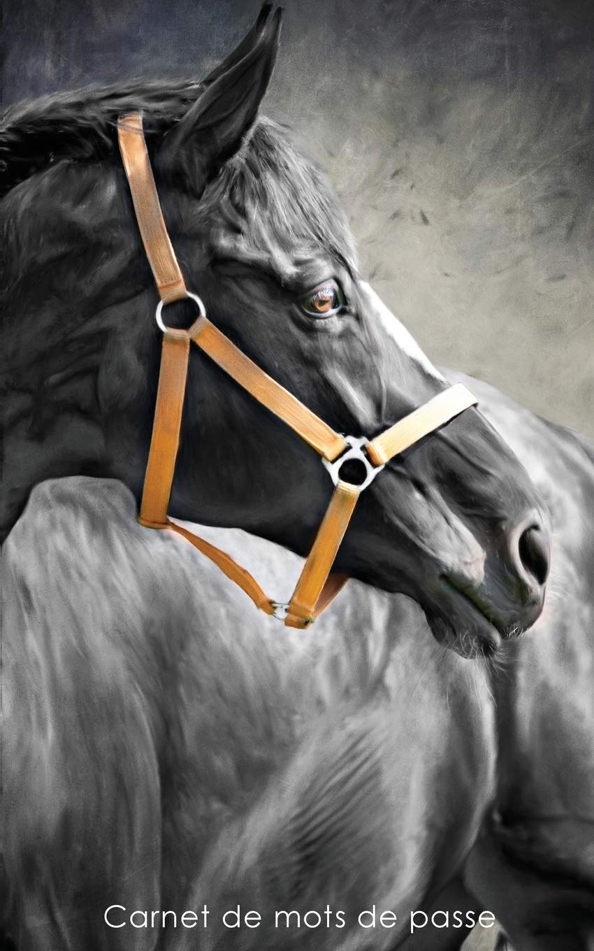 Carnet de mots de passe: Journal d’adresses de sites web et de mots de passe - Couverture avec un cheval noir book