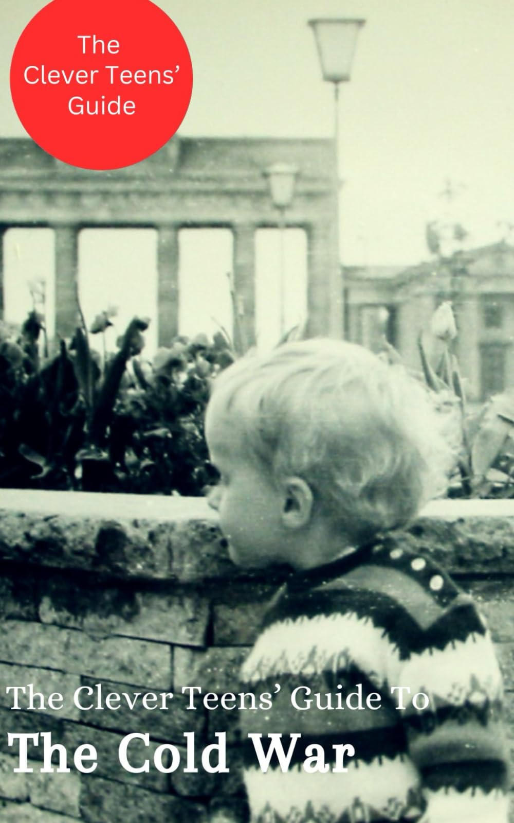 The Clever Teen's Guide to The Cold War book