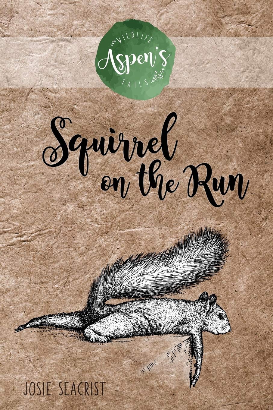 Squirrel on the Run (Aspen's Wildlife Tails, Band 1) Contemporary literature