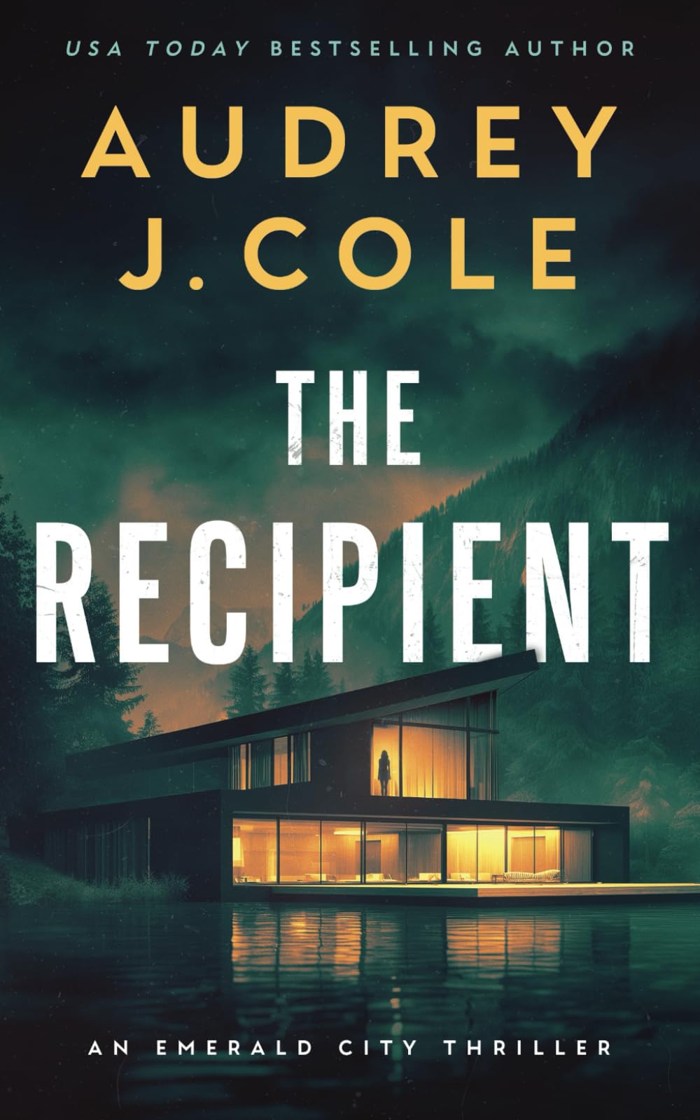 The Recipient (Emerald City Thriller, Band 1) Suspense & Thrillers