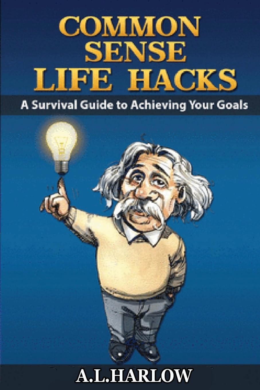 common sense life hacks: A Survival Guide to Achieving Your Goals And Improving Your Business And Personal Relationships Learning & Reference